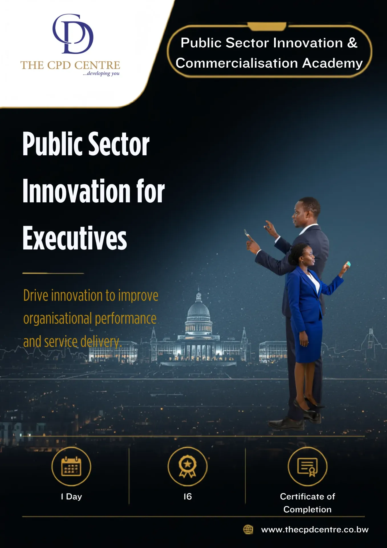 Public Sector Innovation for Executives