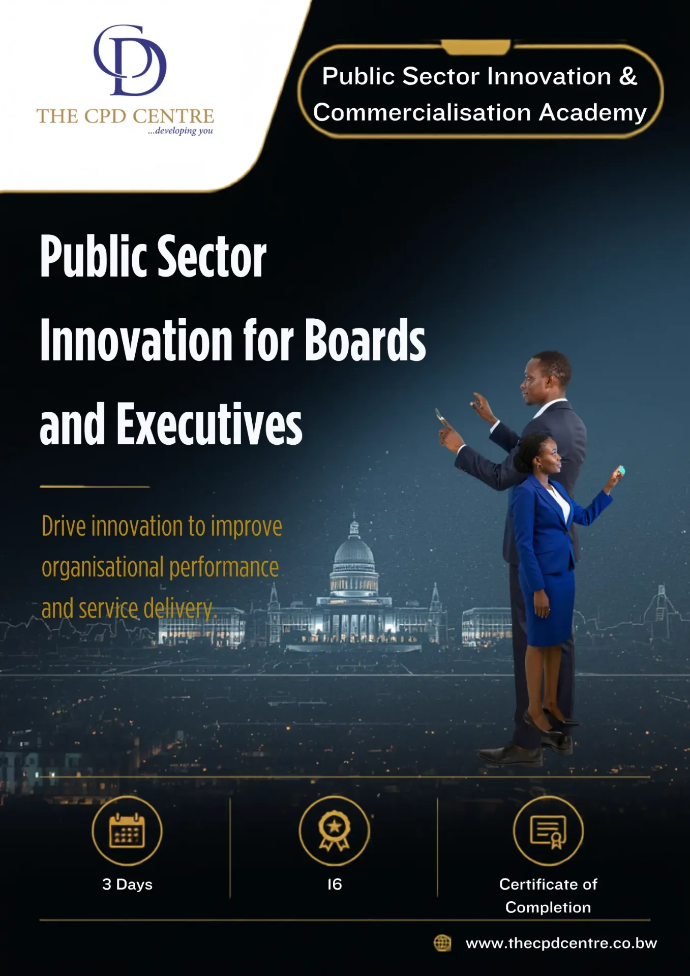 Public Sector Innovation for Boards and Executives