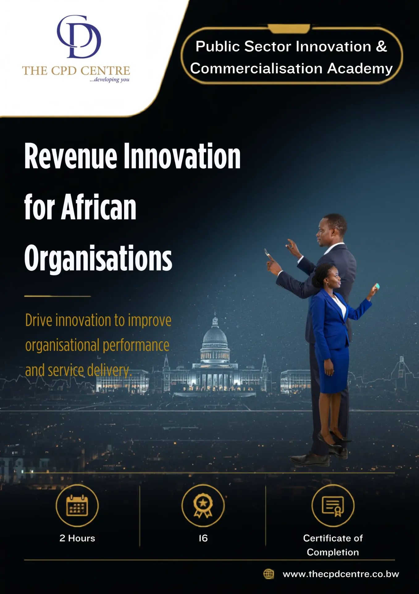 Revenue Innovation for African Organisations