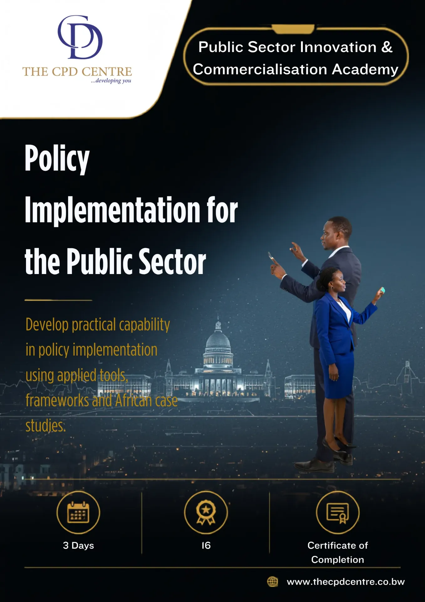 Policy Implementation for the Public Sector