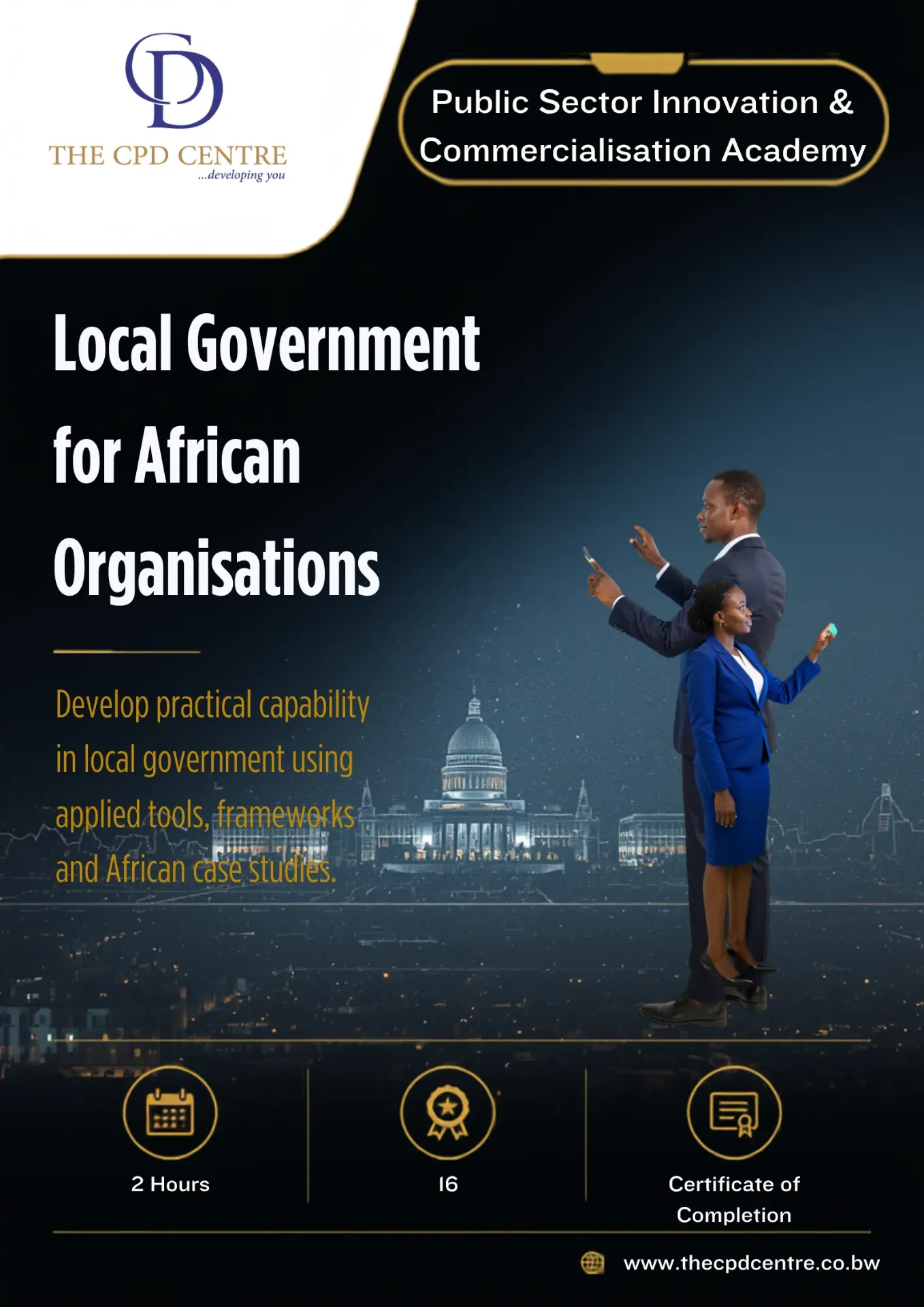 Local Government for African Organisations