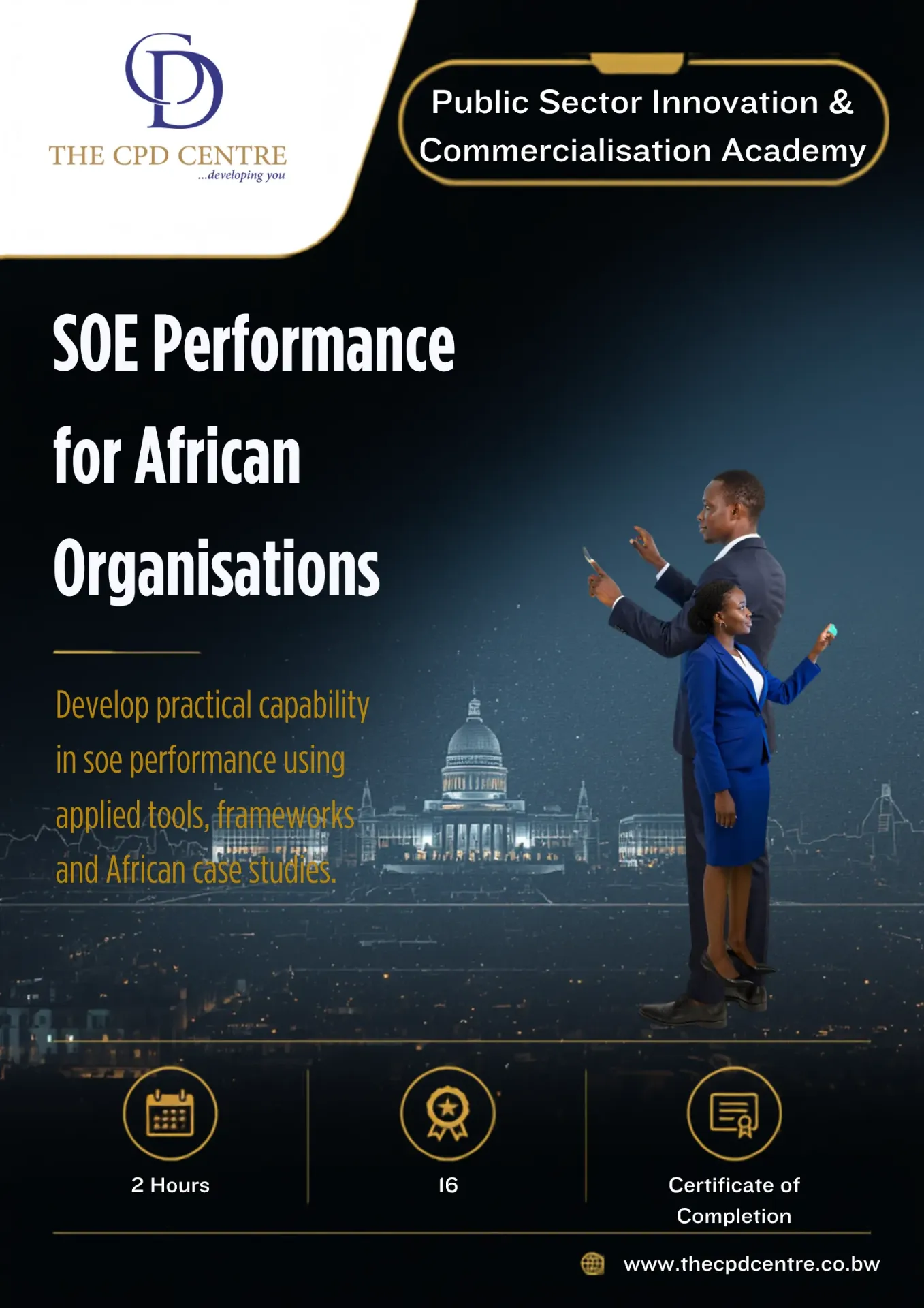 [PSIC-SP-003] SOE Performance for African Organisations