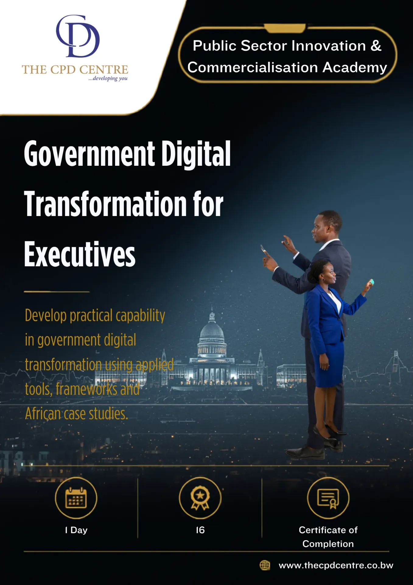 Government Digital Transformation for Executives