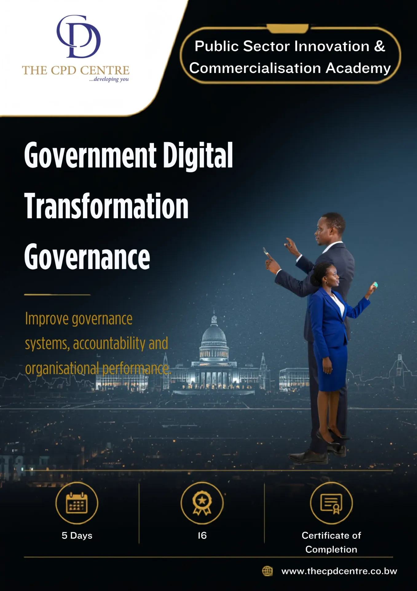 Government Digital Transformation Governance