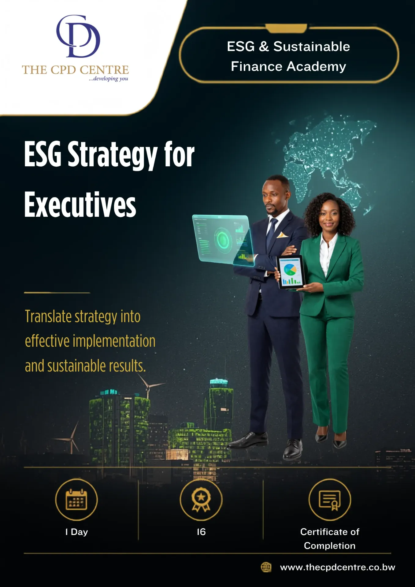ESG Strategy for Executives