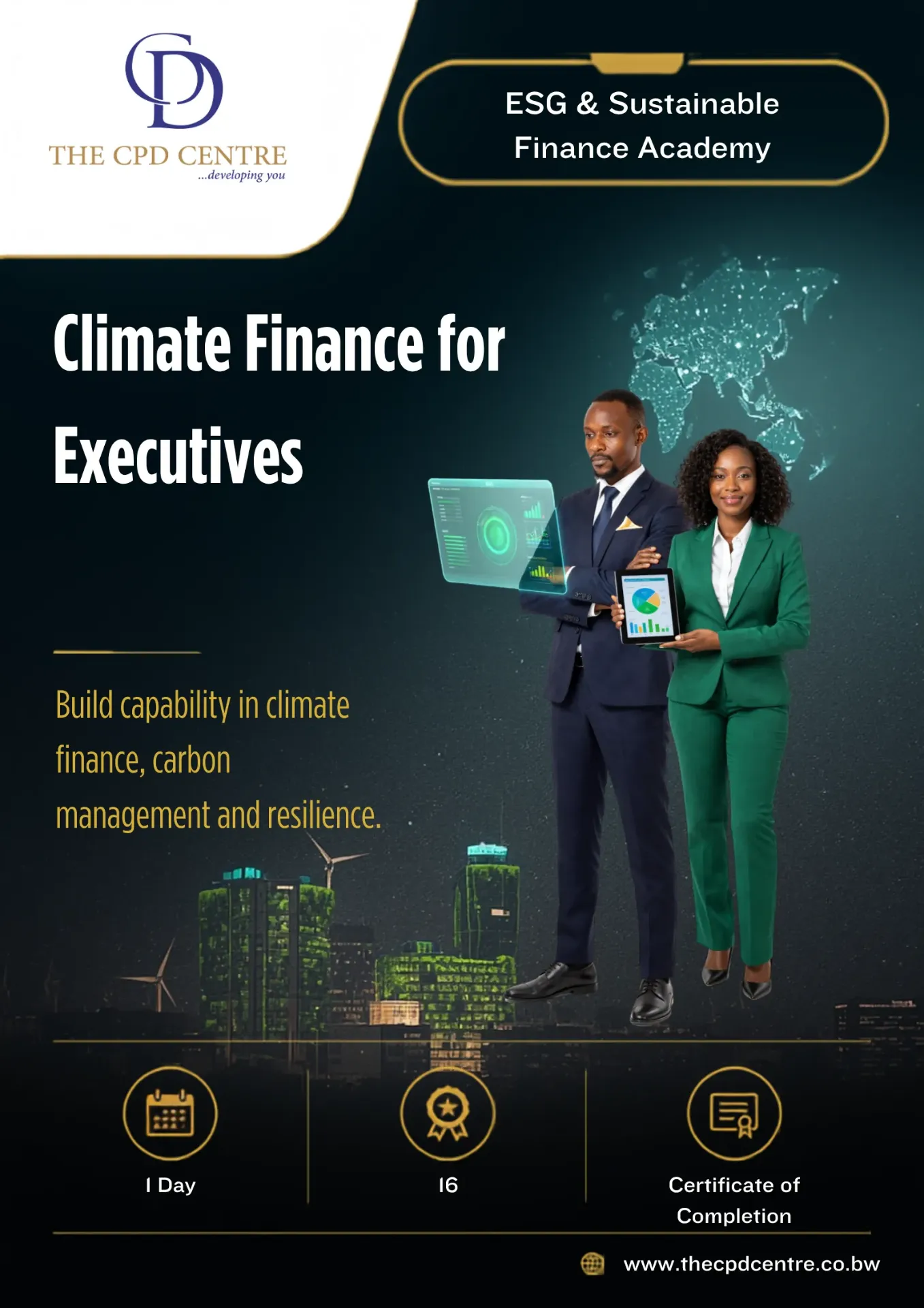 Climate Finance for Executives