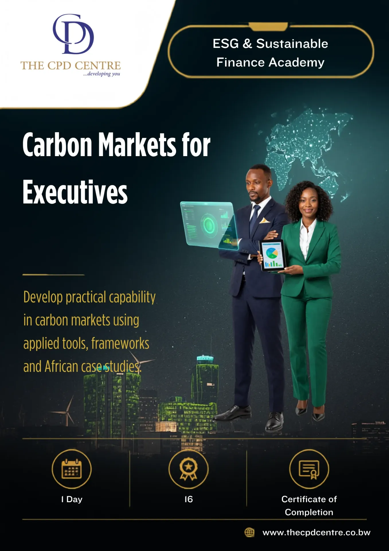 Carbon Markets for Executives