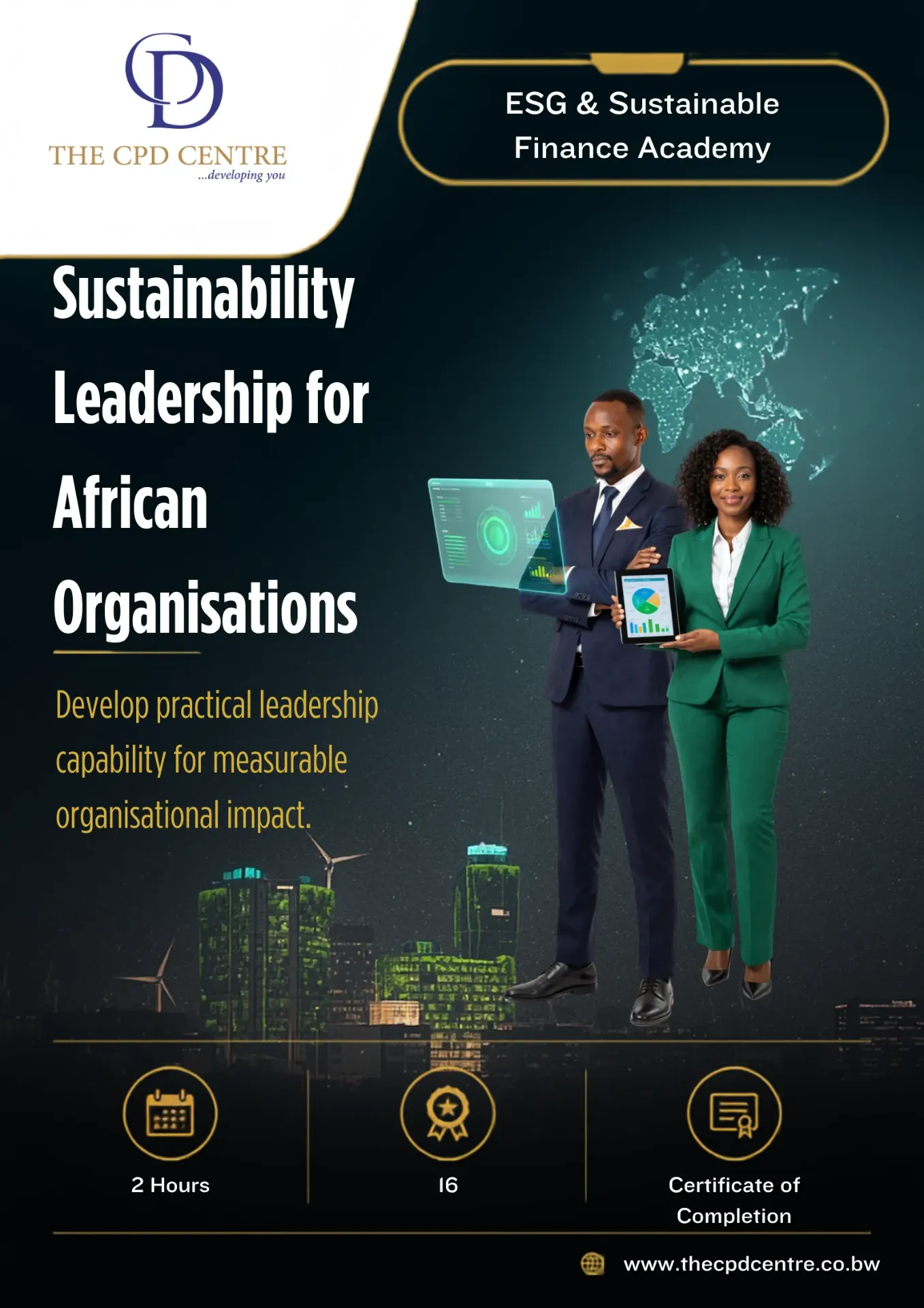 Sustainability Leadership for African Organisations