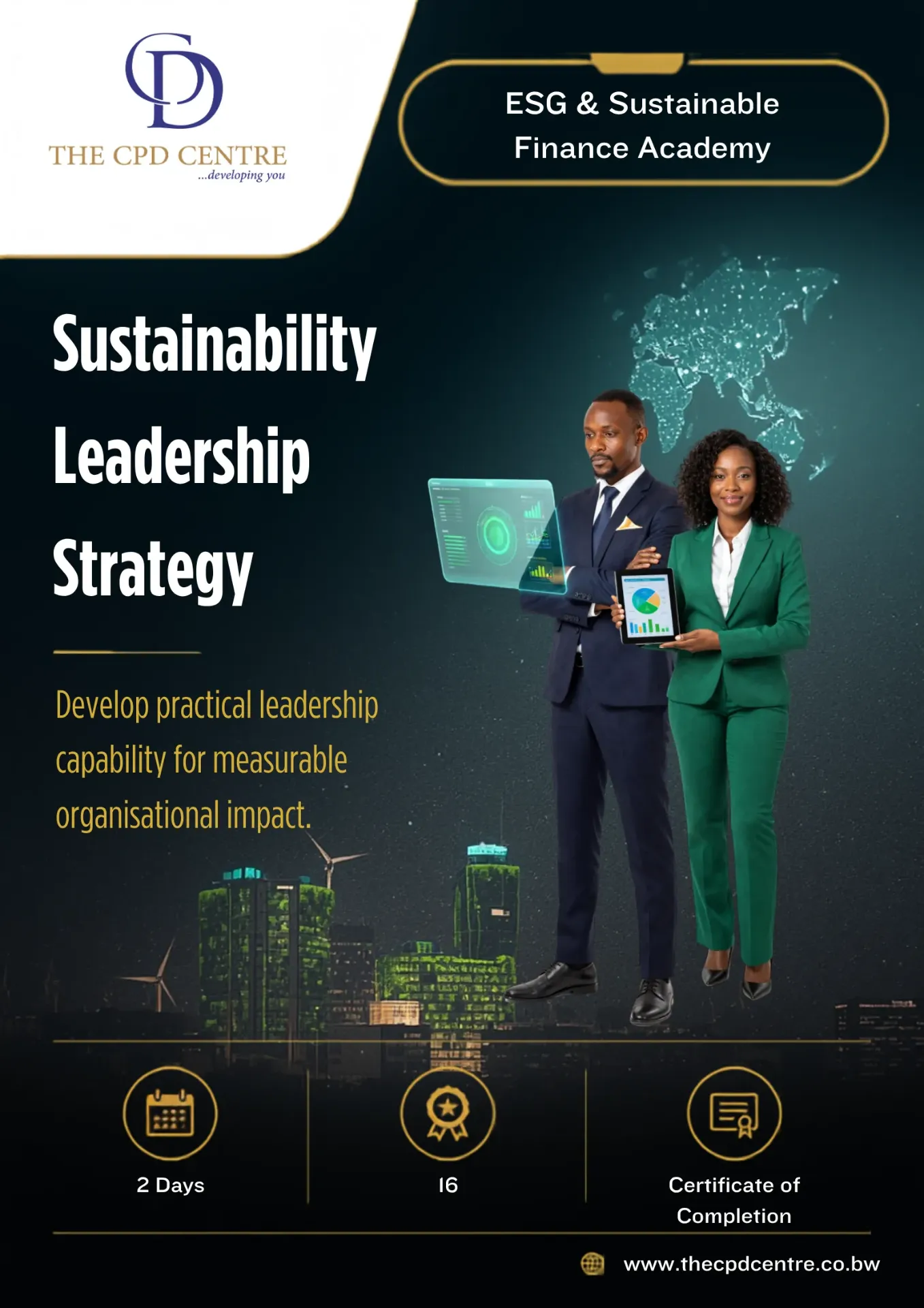 Sustainability Leadership Strategy