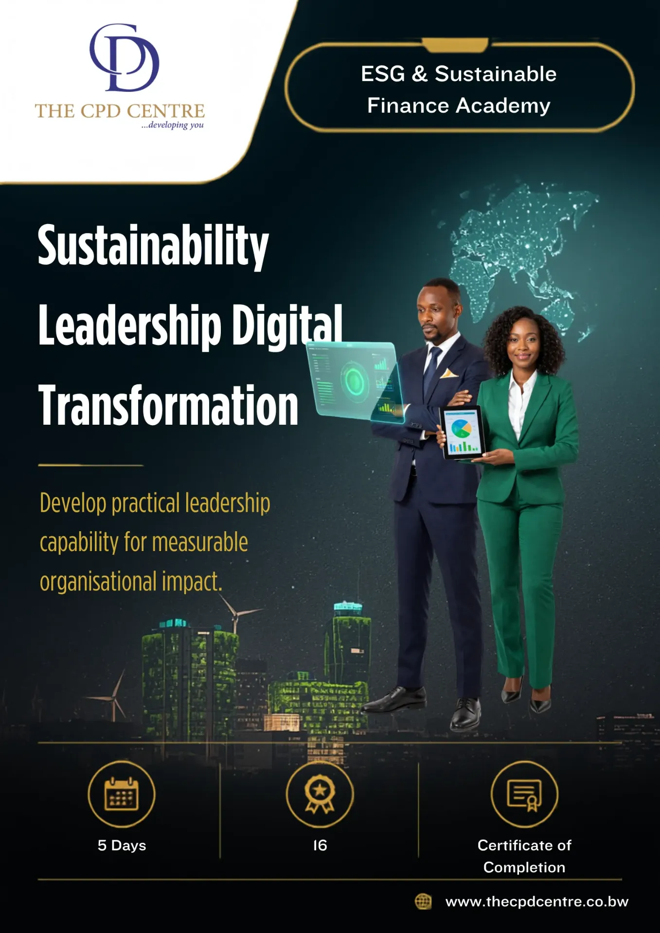 Sustainability Leadership Digital Transformation