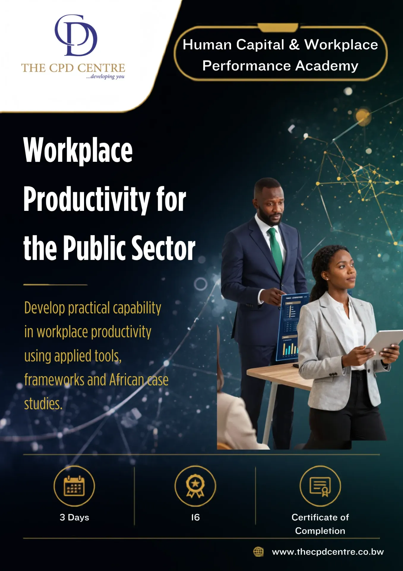 [HCWP-WP-013] Workplace Productivity for the Public Sector