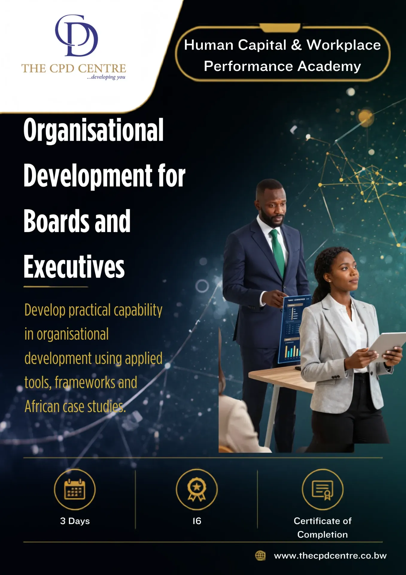 [HCWP-OD-015] Organisational Development for Boards and Executives