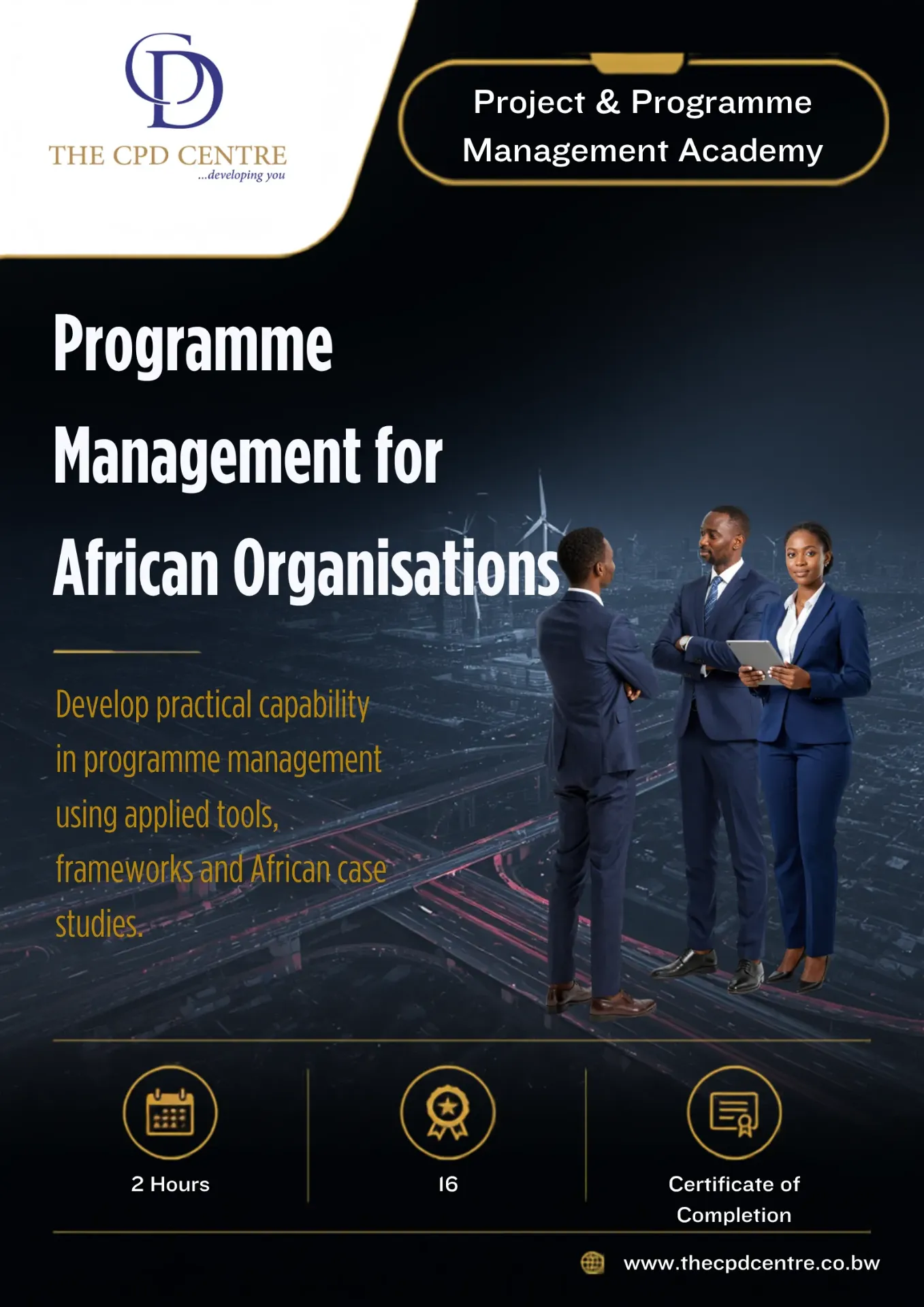 Programme Management for African Organisations