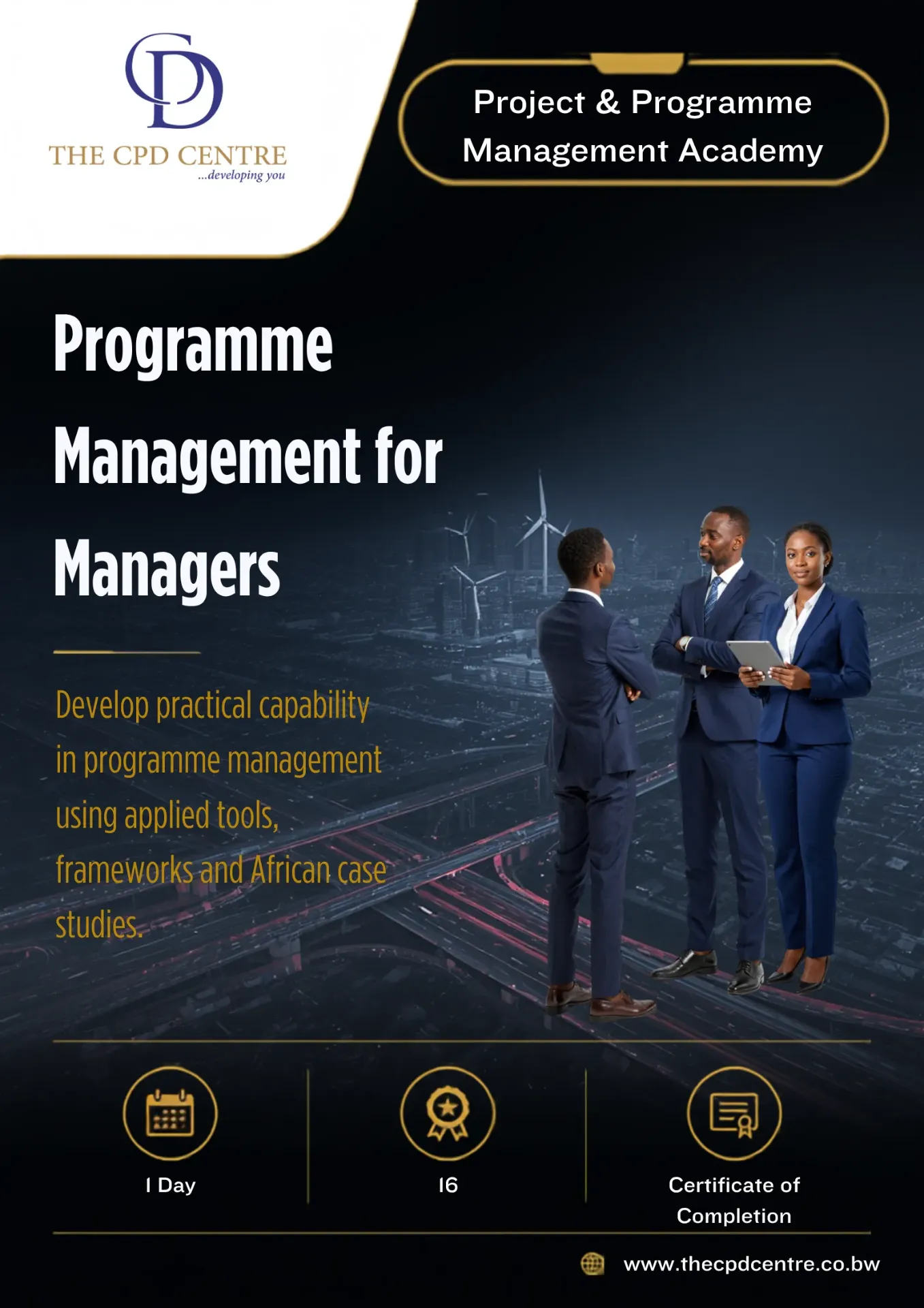 Programme Management for Managers