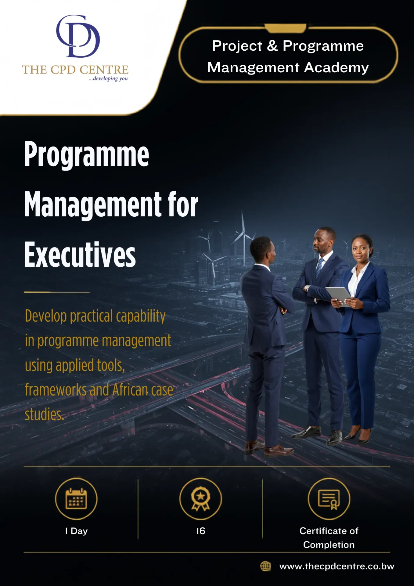Programme Management for Executives