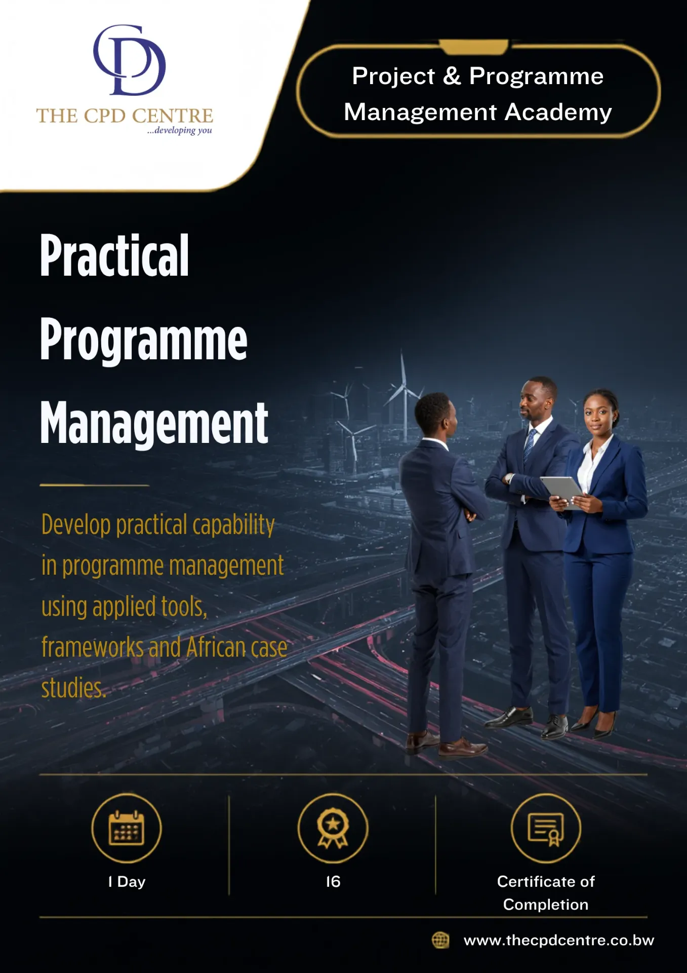 Practical Programme Management