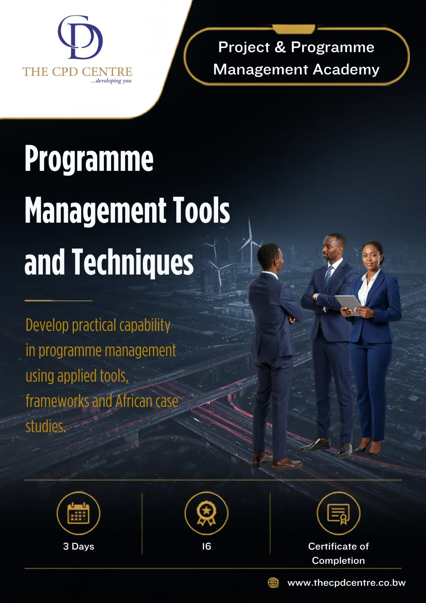 Programme Management Tools and Techniques
