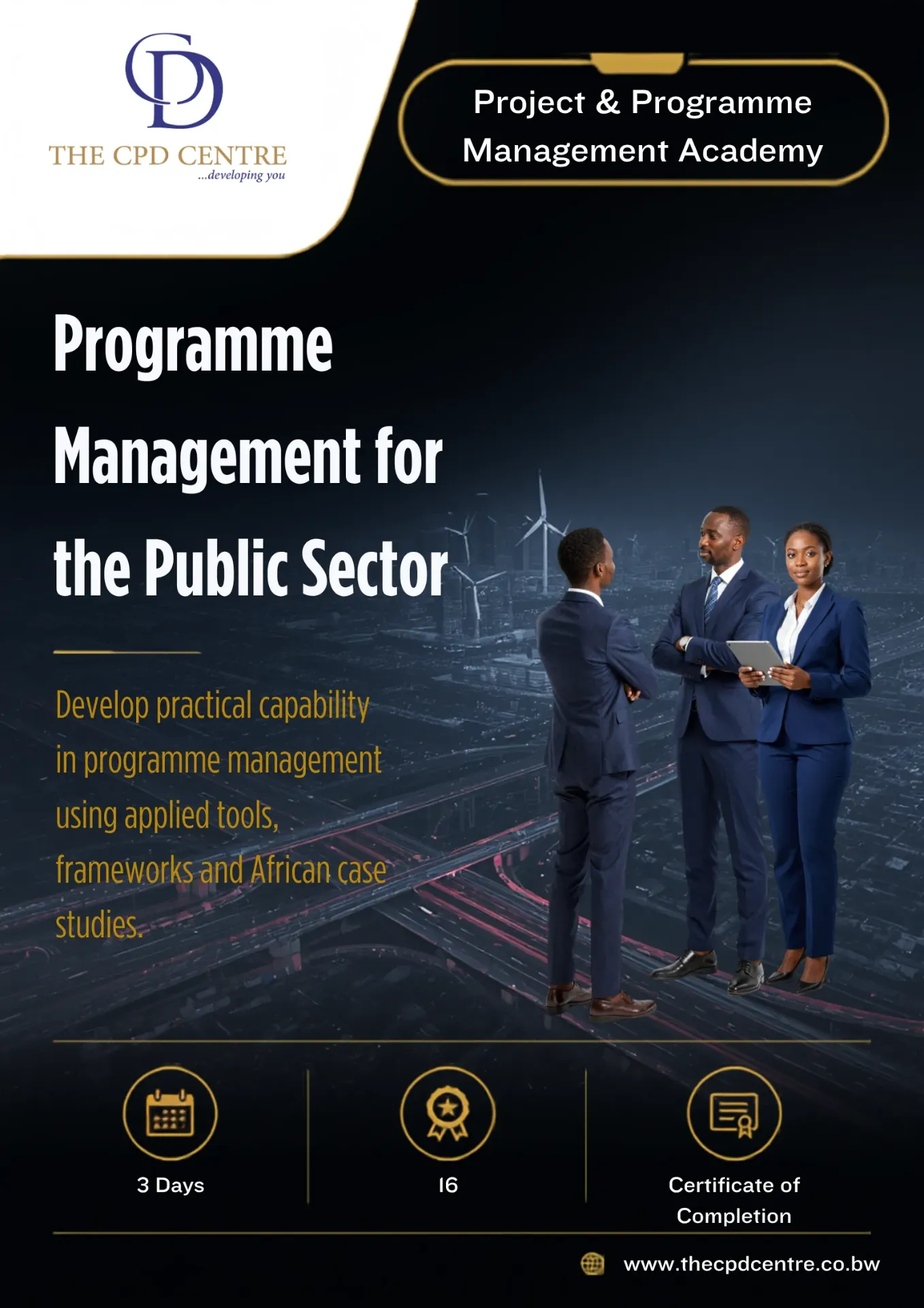 Programme Management for the Public Sector
