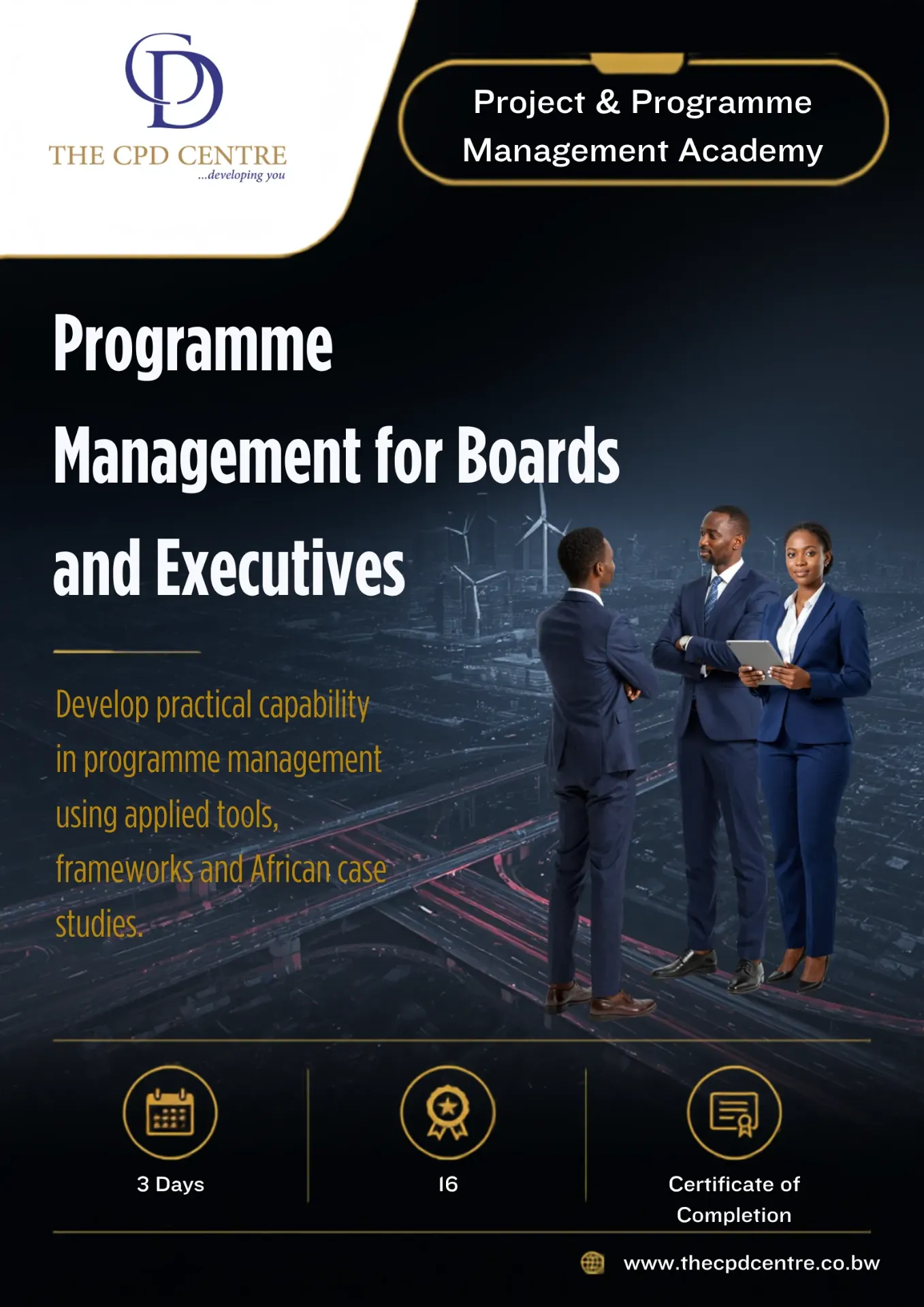 Programme Management for Boards and Executives