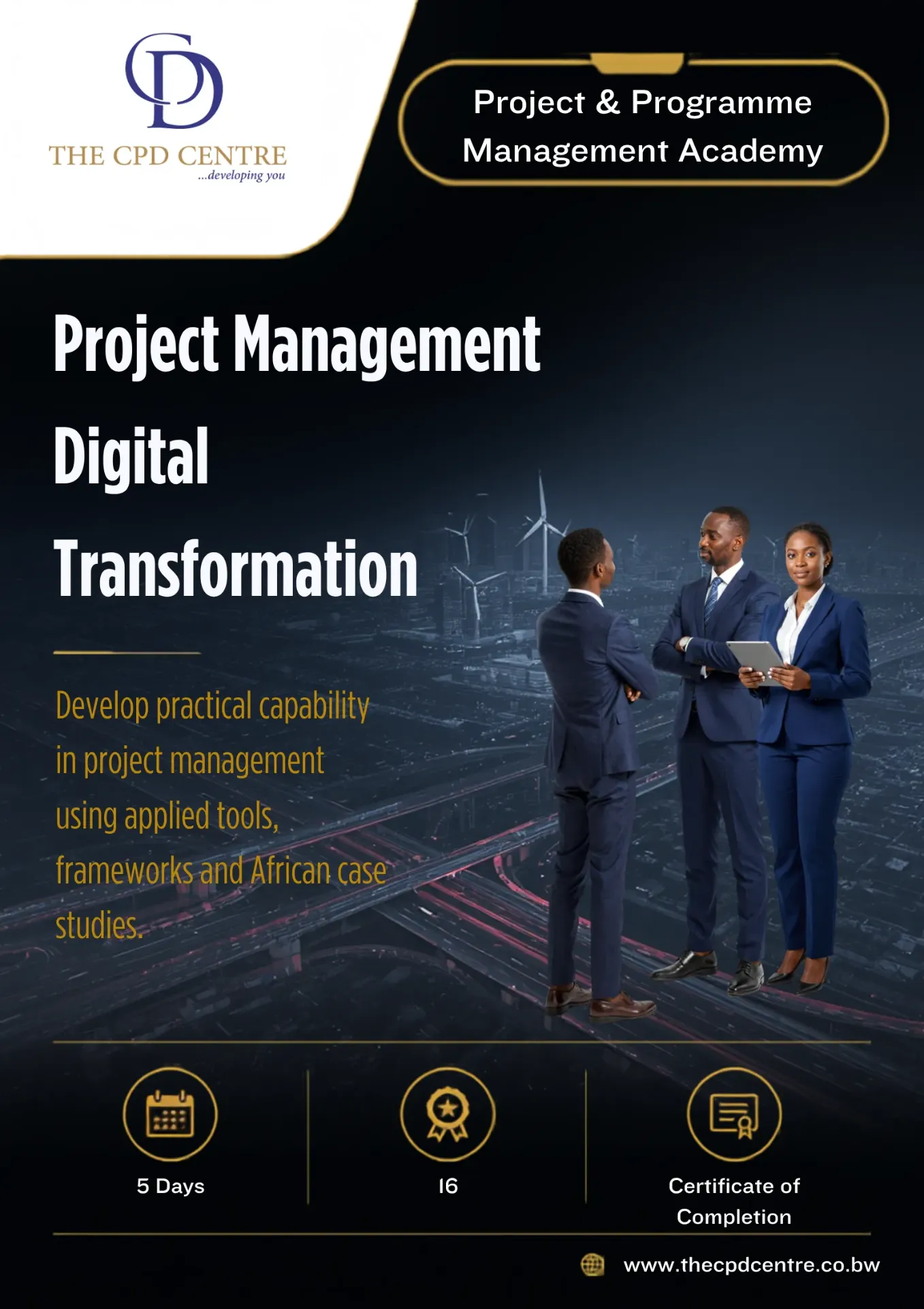 Programme Management Digital Transformation