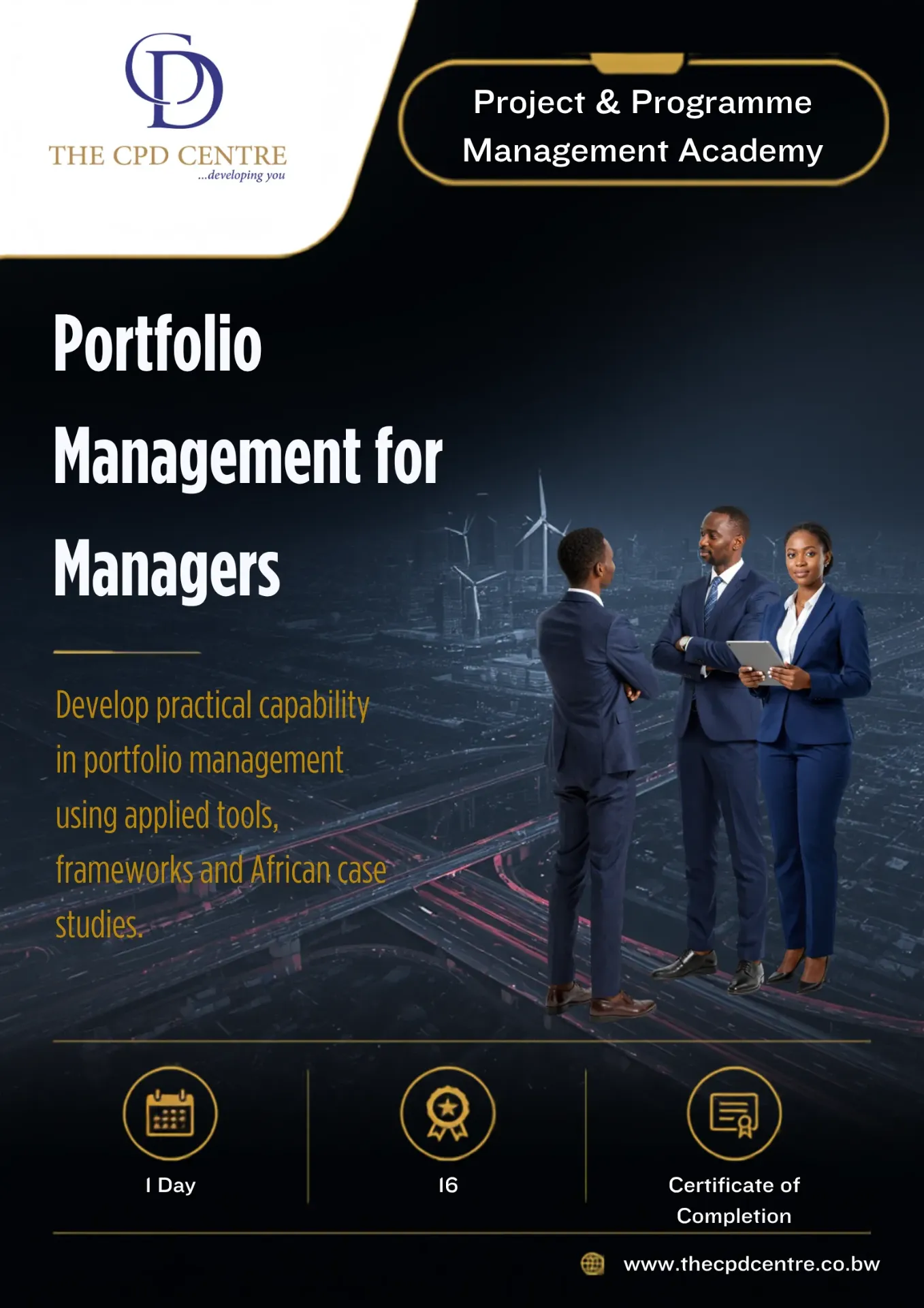 Portfolio Management for Managers