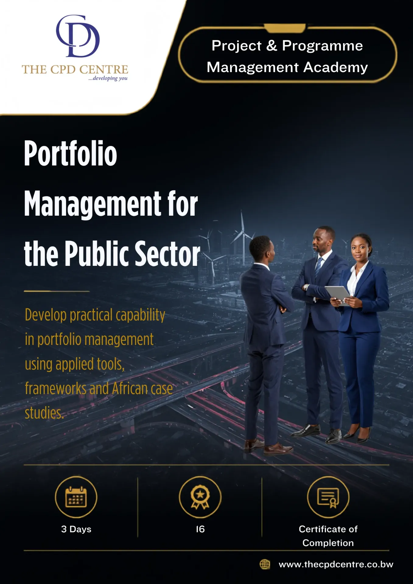 Portfolio Management for the Public Sector