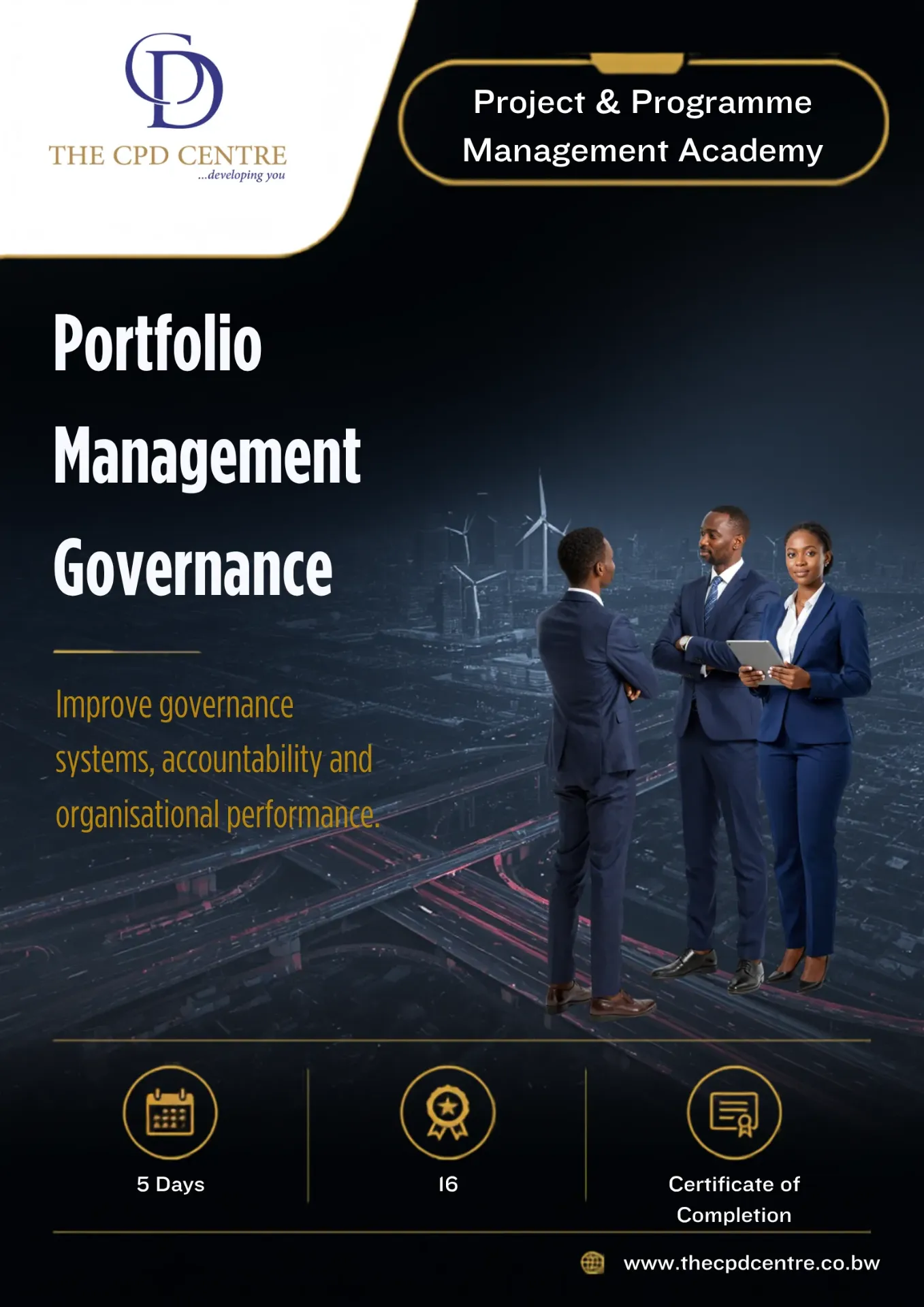 Portfolio Management Governance