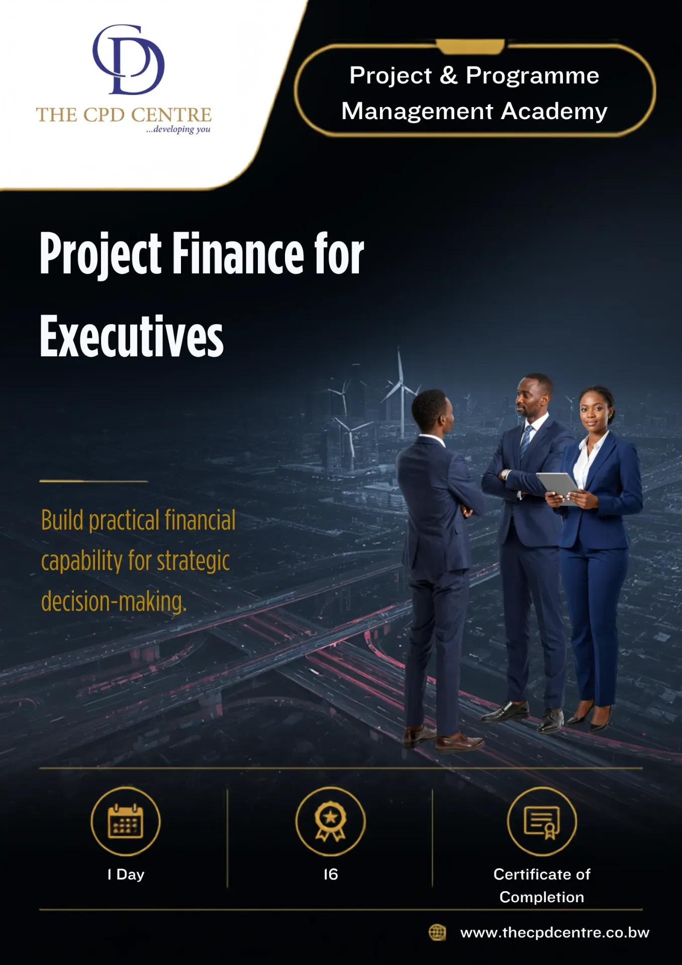 Project Finance for Executives
