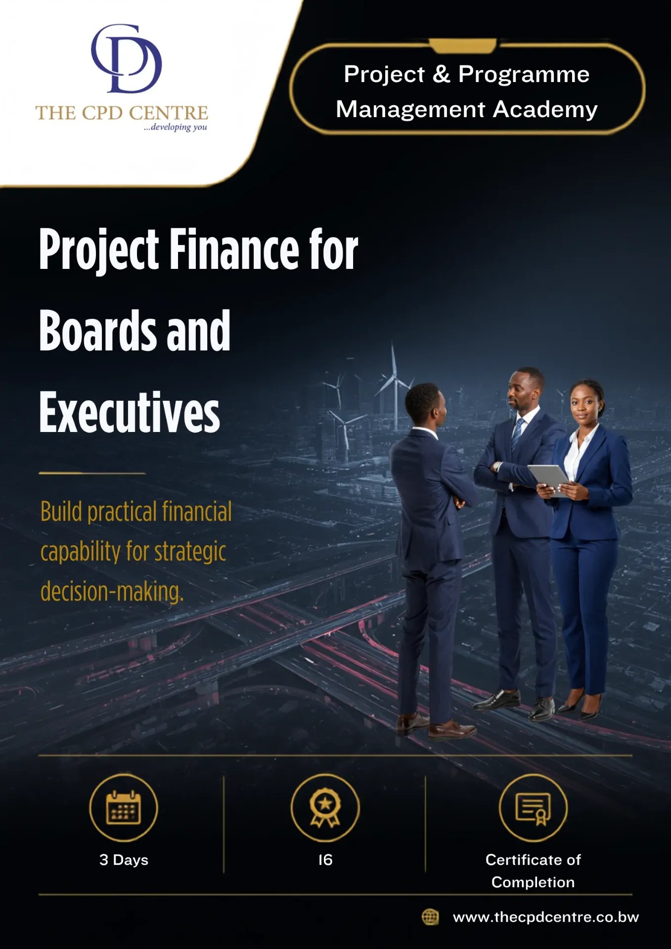 Project Finance for Boards and Executives
