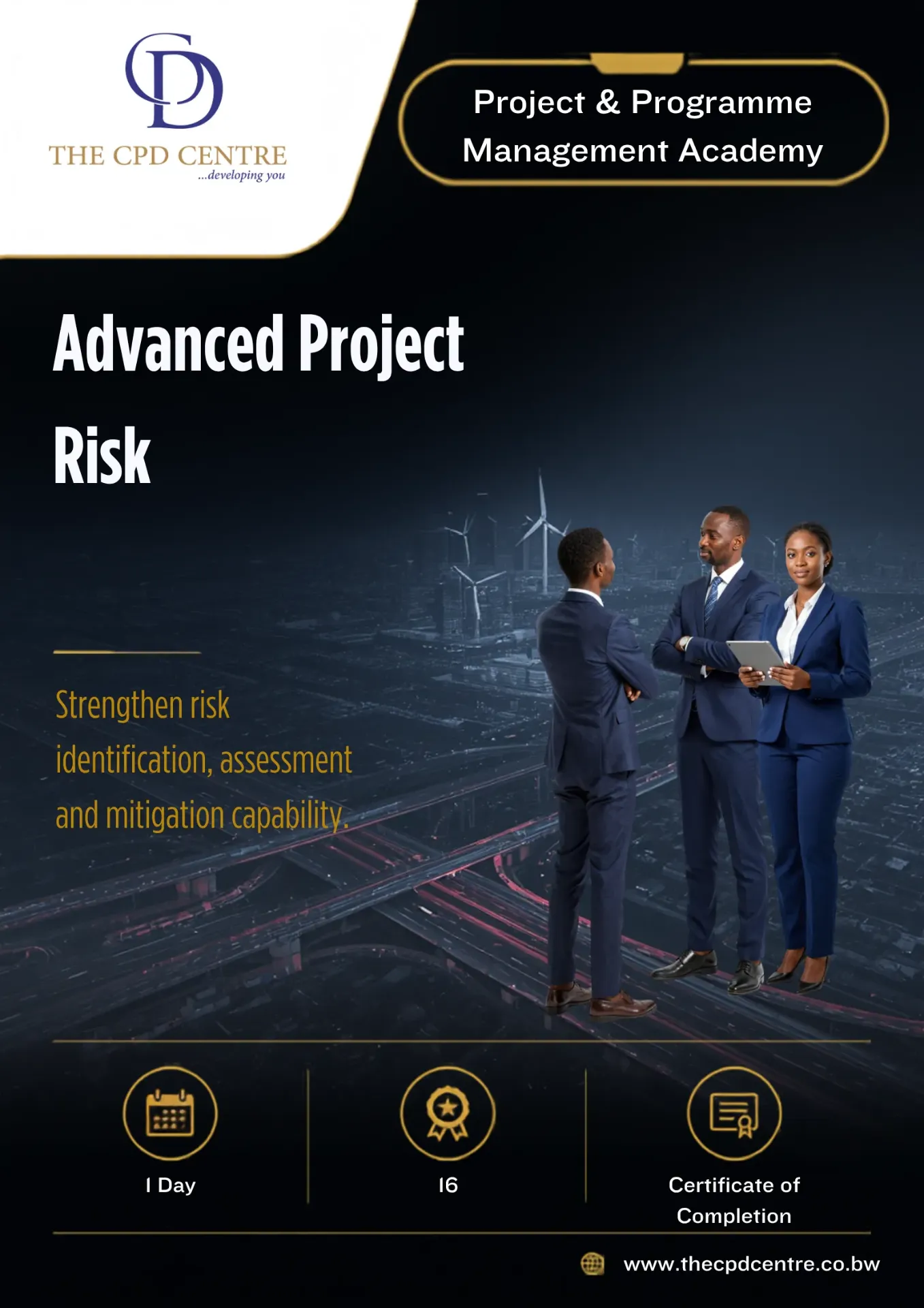 Advanced Project Risk