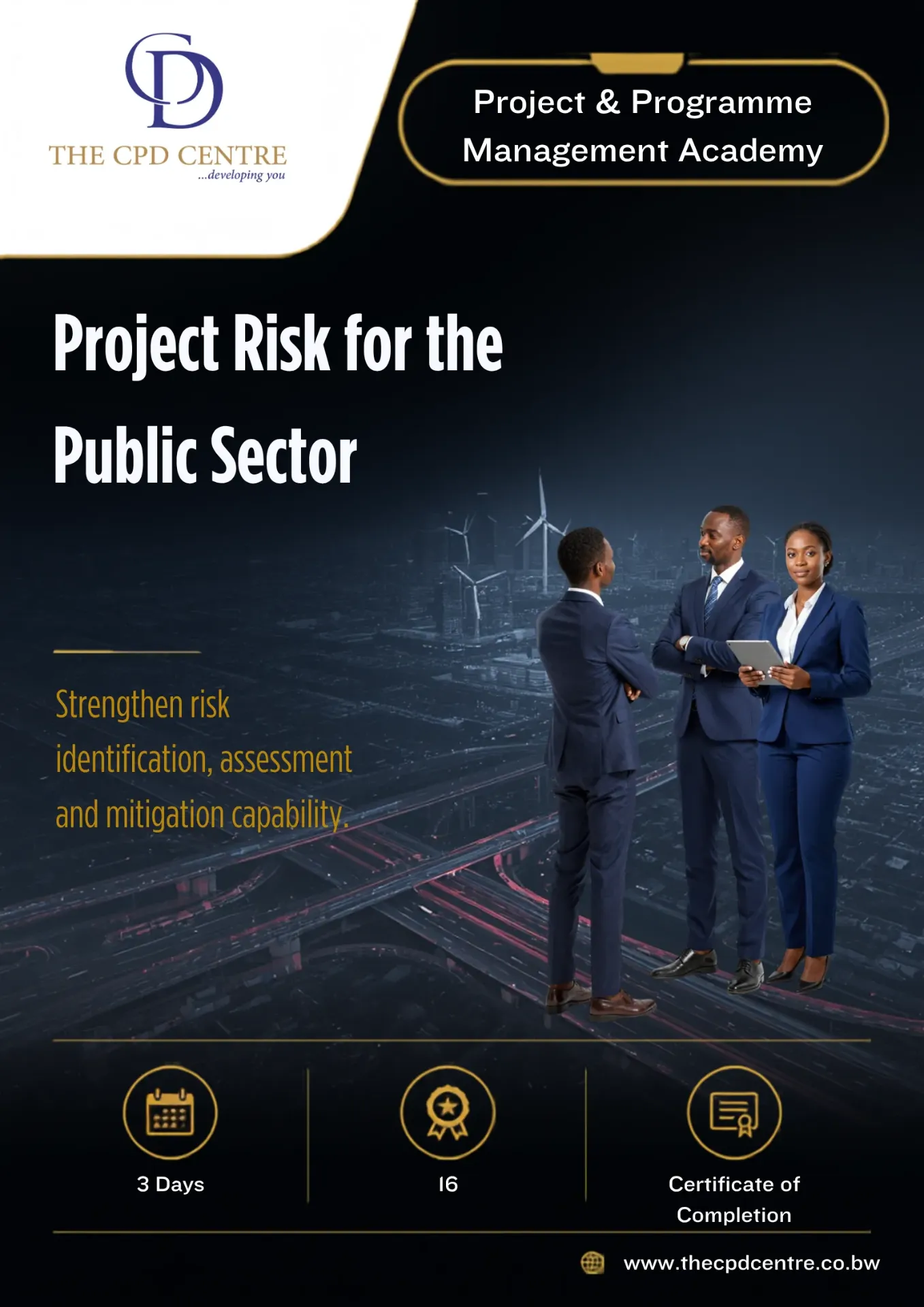 Project Risk for the Public Sector
