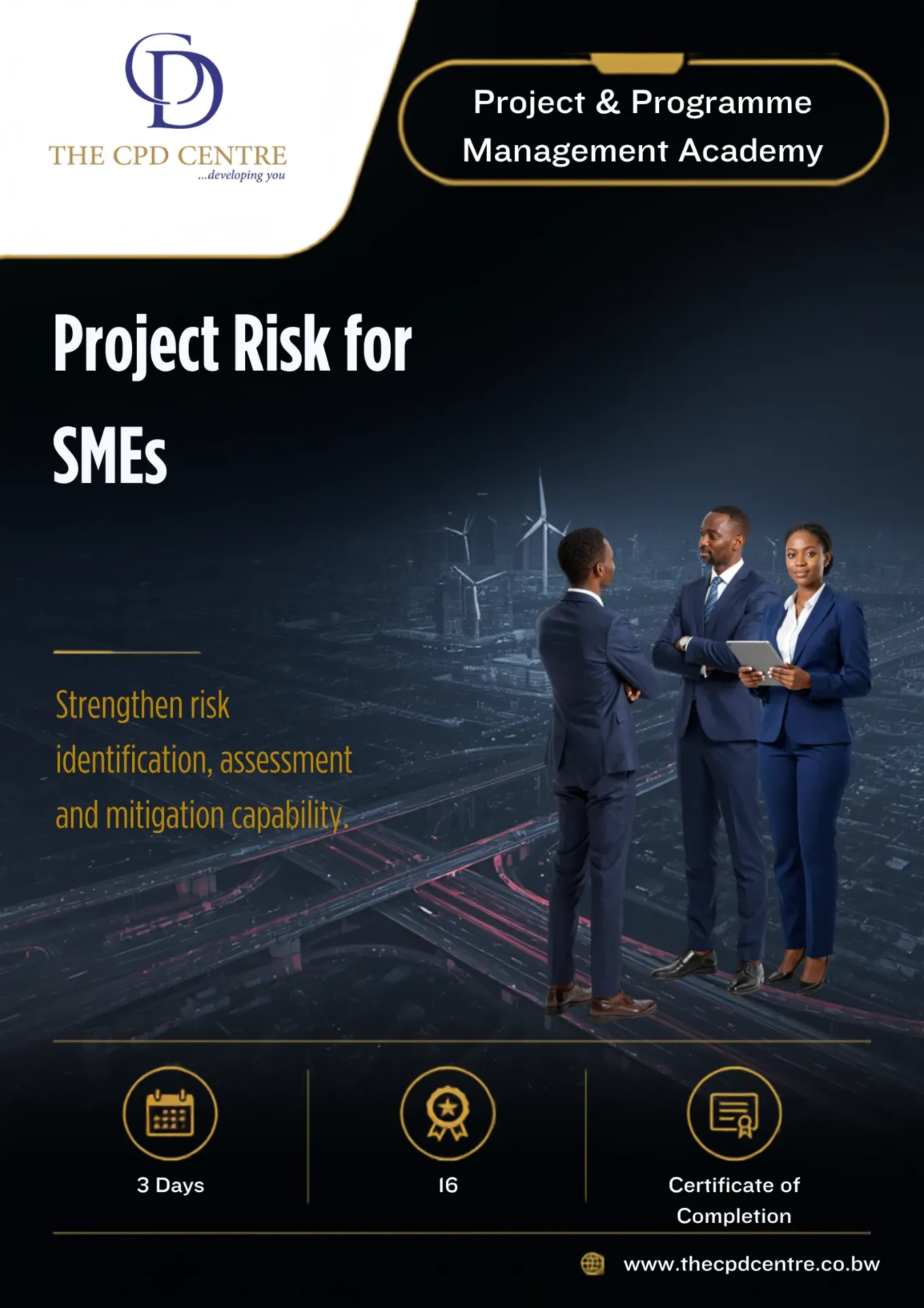 Project Risk for SMEs