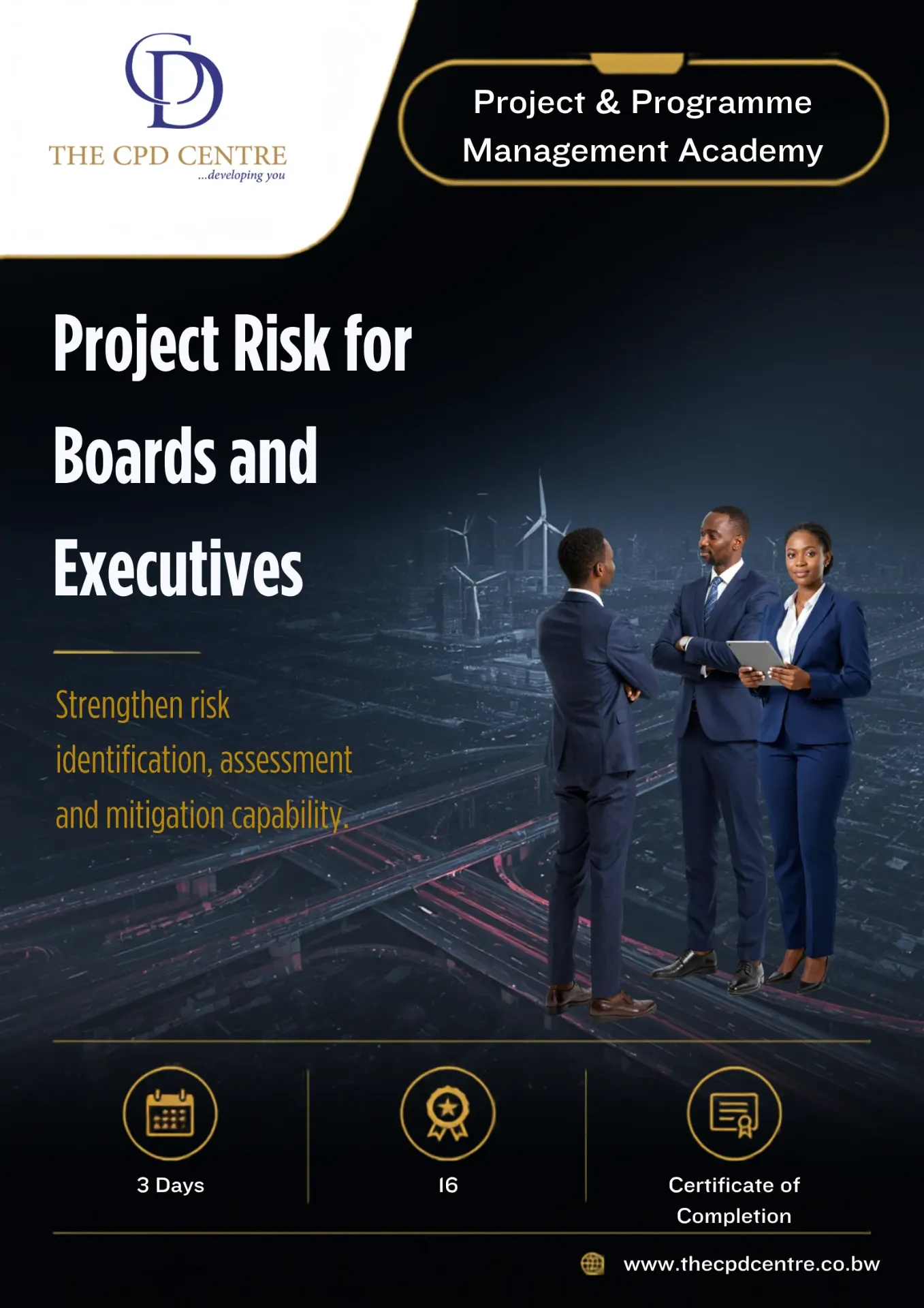 [PPM-PR-015] Project Risk for Boards and Executives