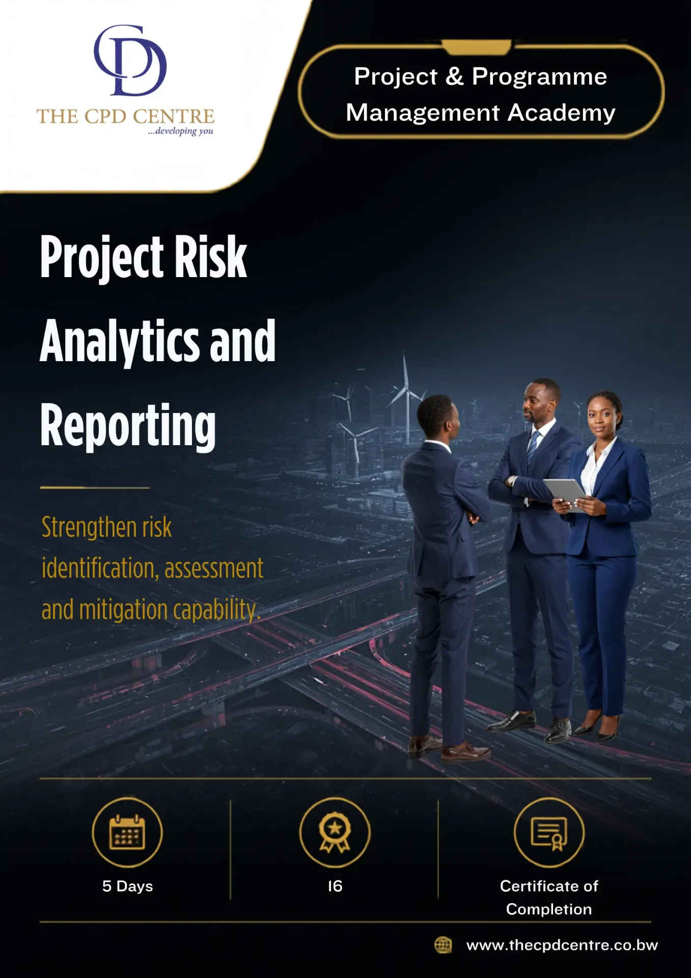 Project Risk Analytics and Reporting