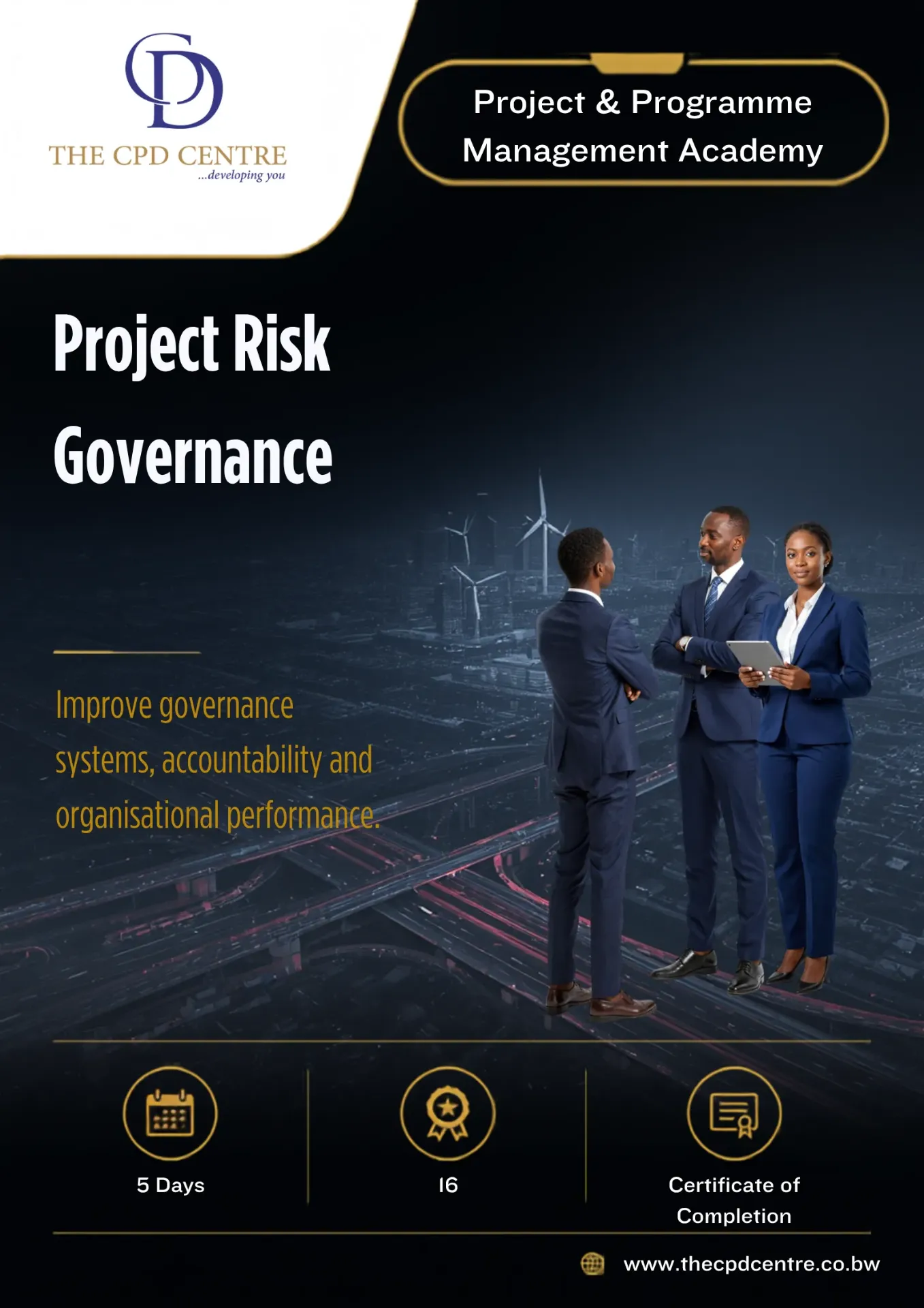 Project Risk Governance