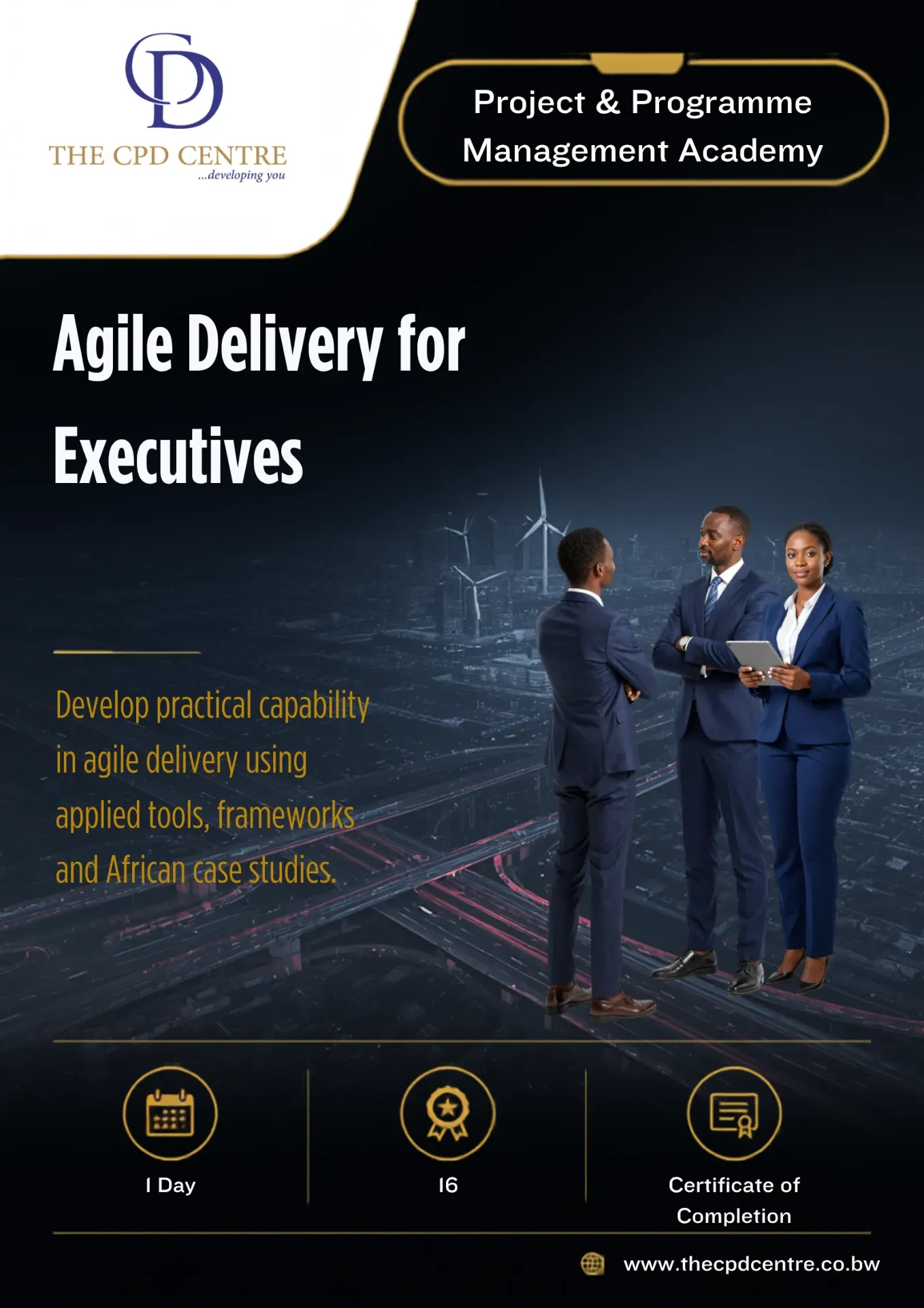 Agile Delivery for Executives