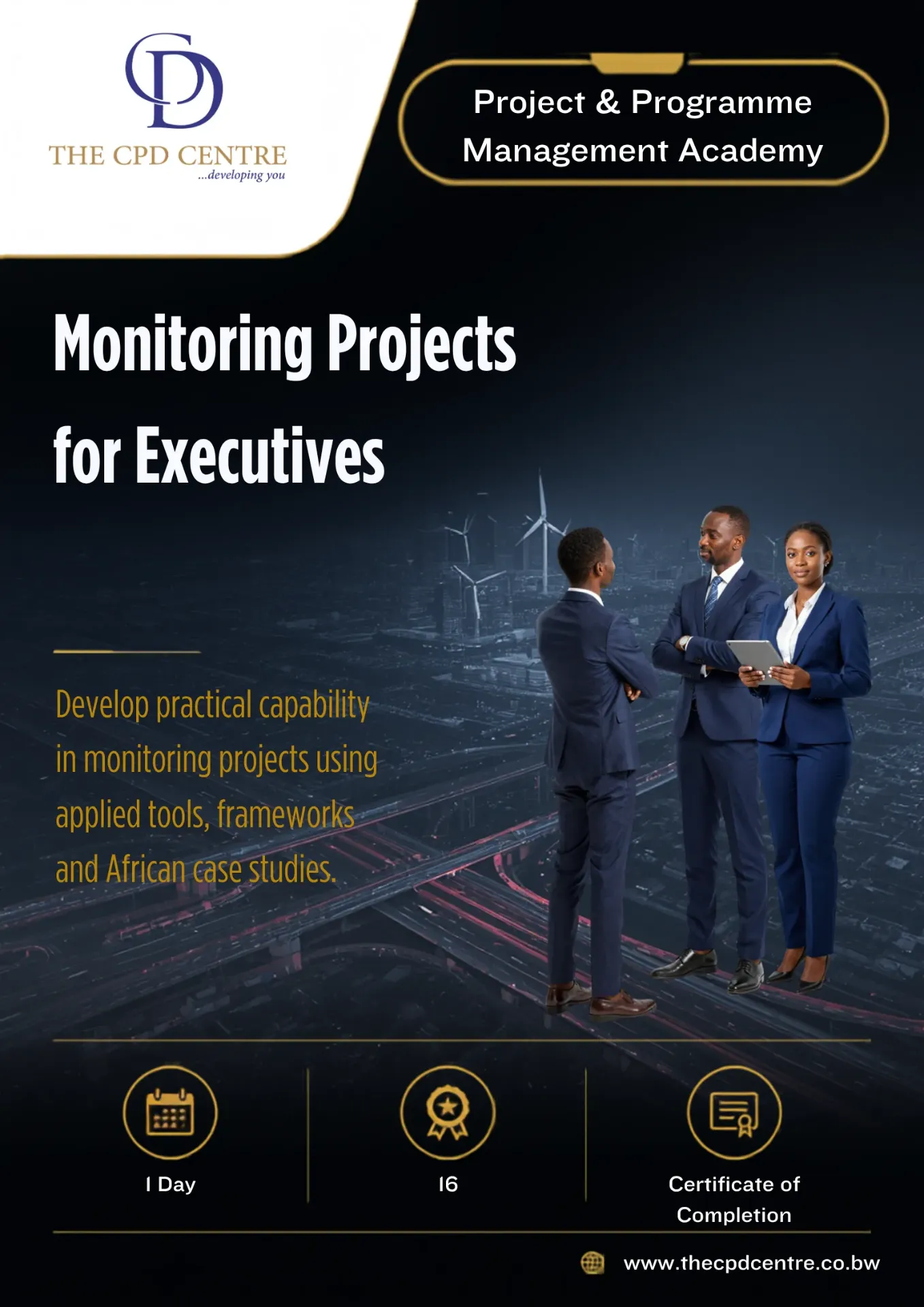 [PPM-MP-005] Monitoring Projects for Executives