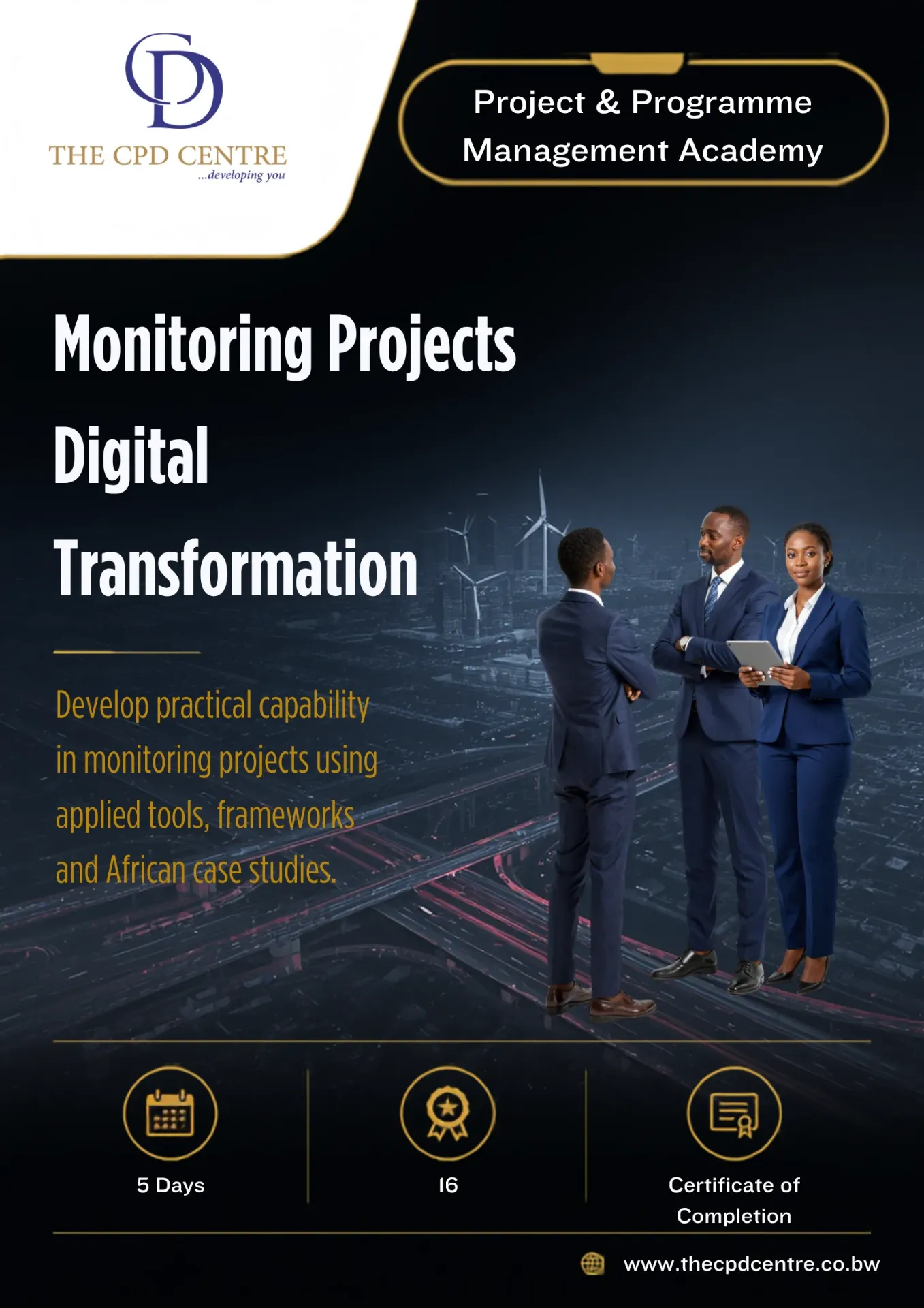 [PPM-MP-019] Monitoring Projects Digital Transformation