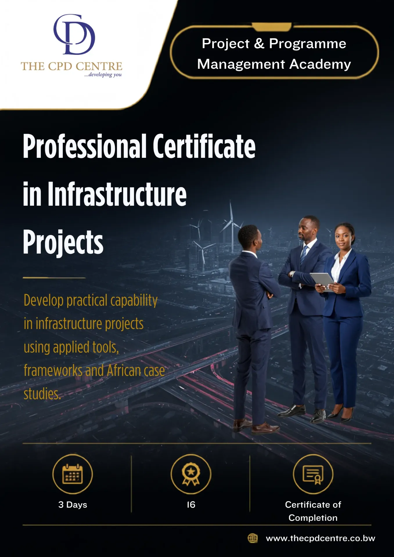 Professional Certificate in Infrastructure Projects