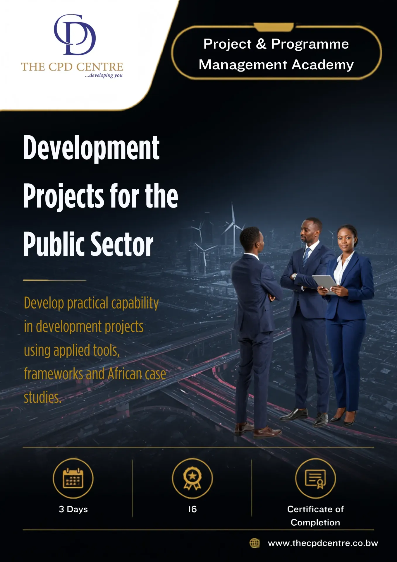 Development Projects for the Public Sector