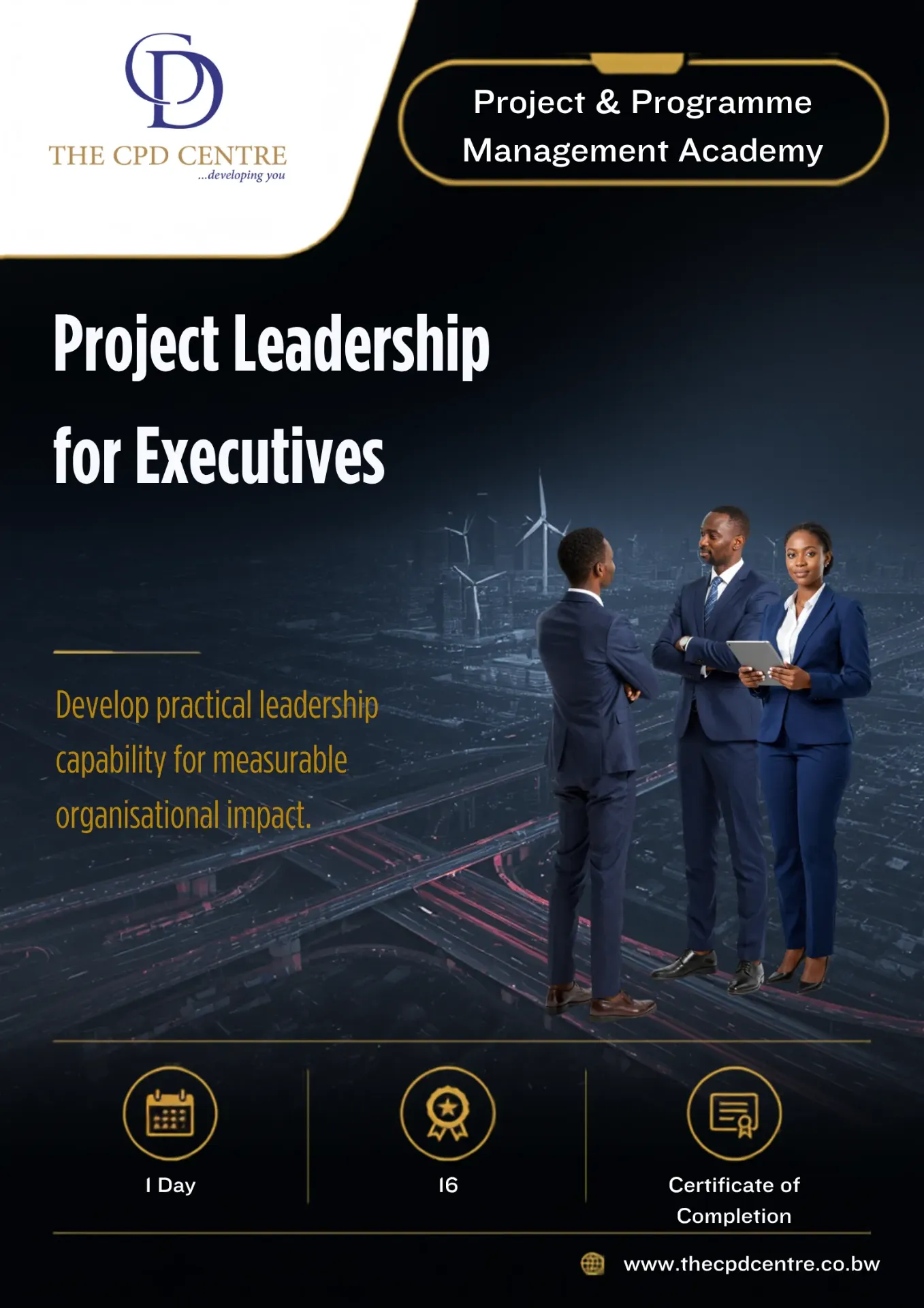 Project Leadership for Executives