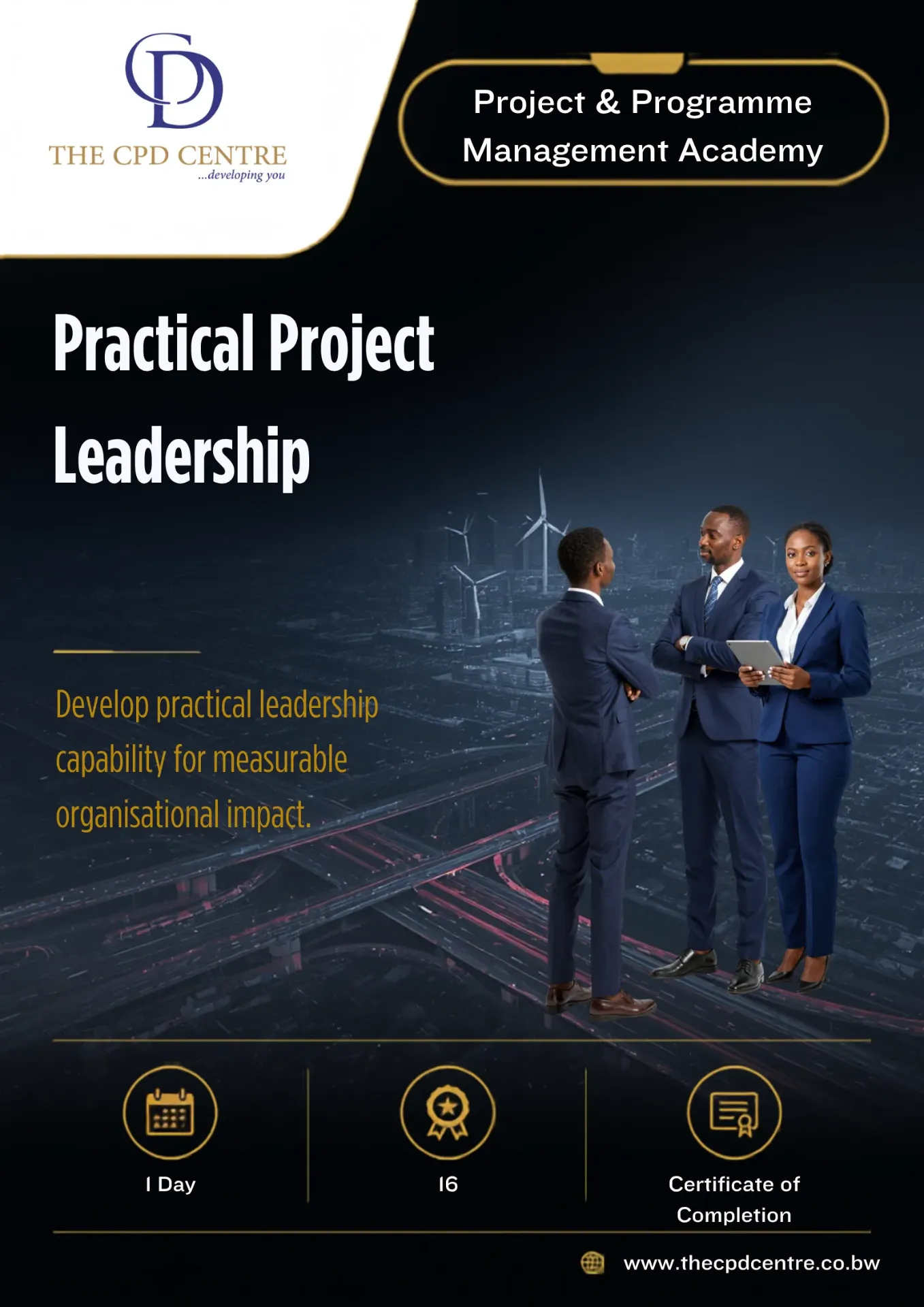 Practical Project Leadership