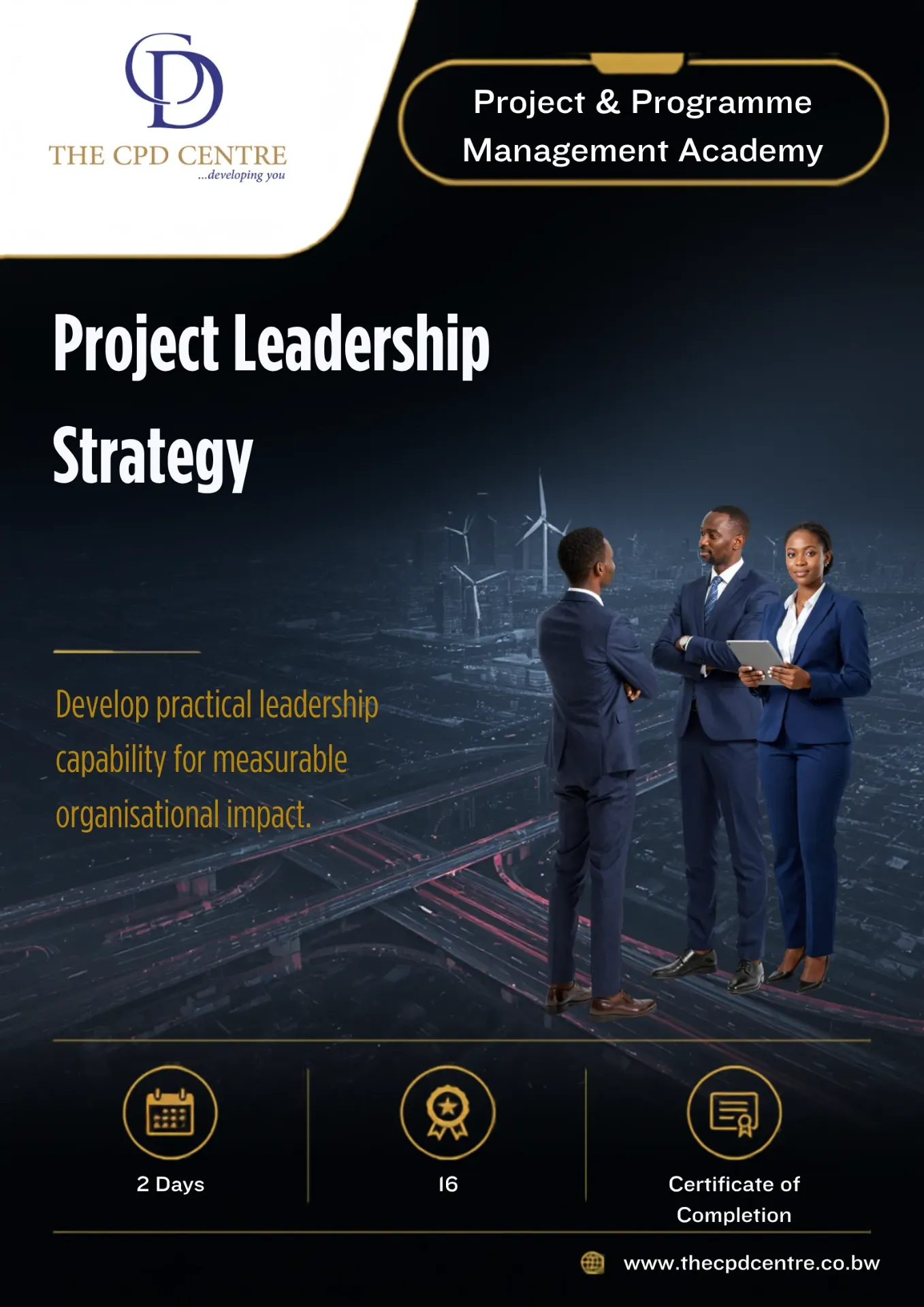 Project Leadership Strategy