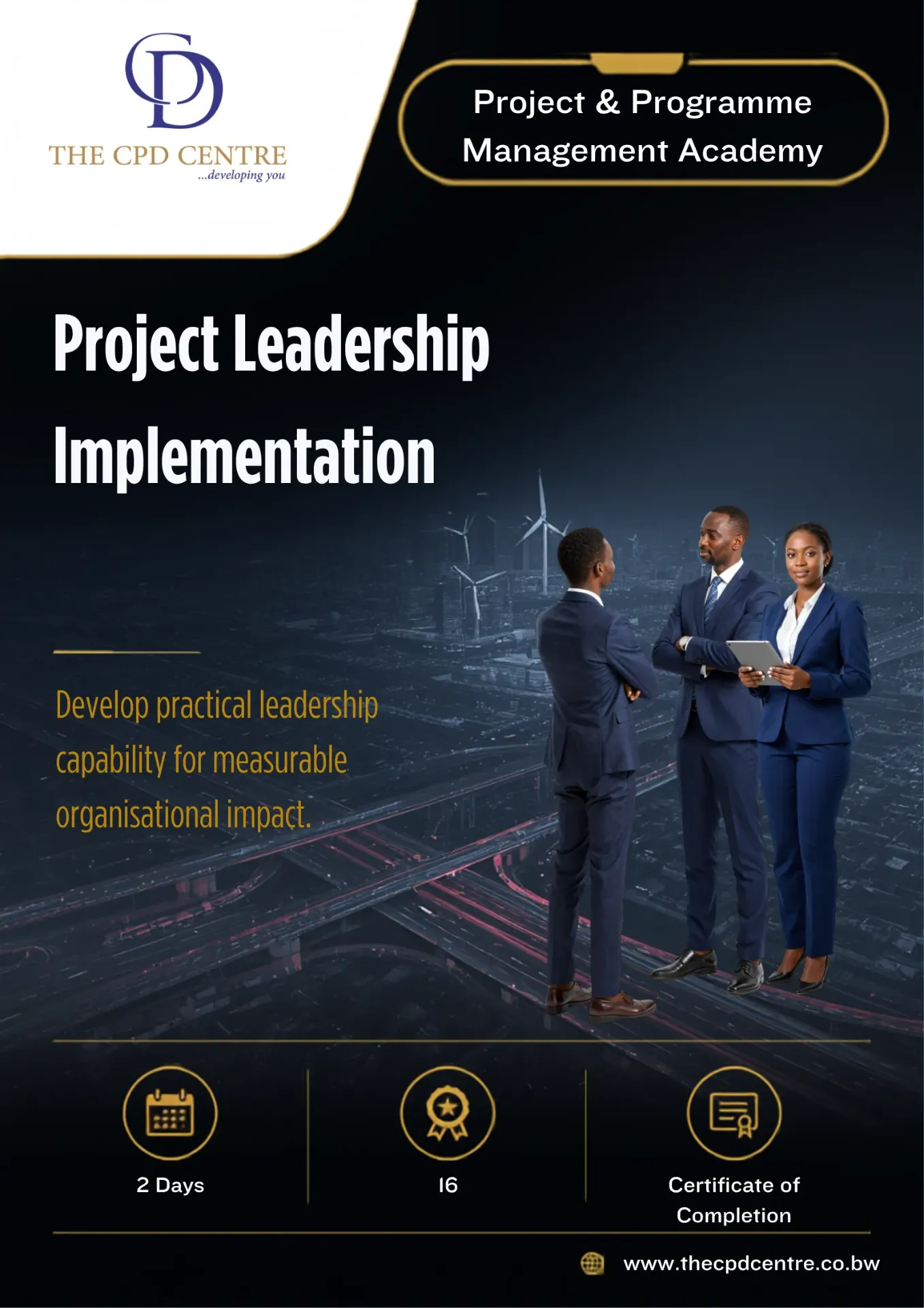 Project Leadership Implementation