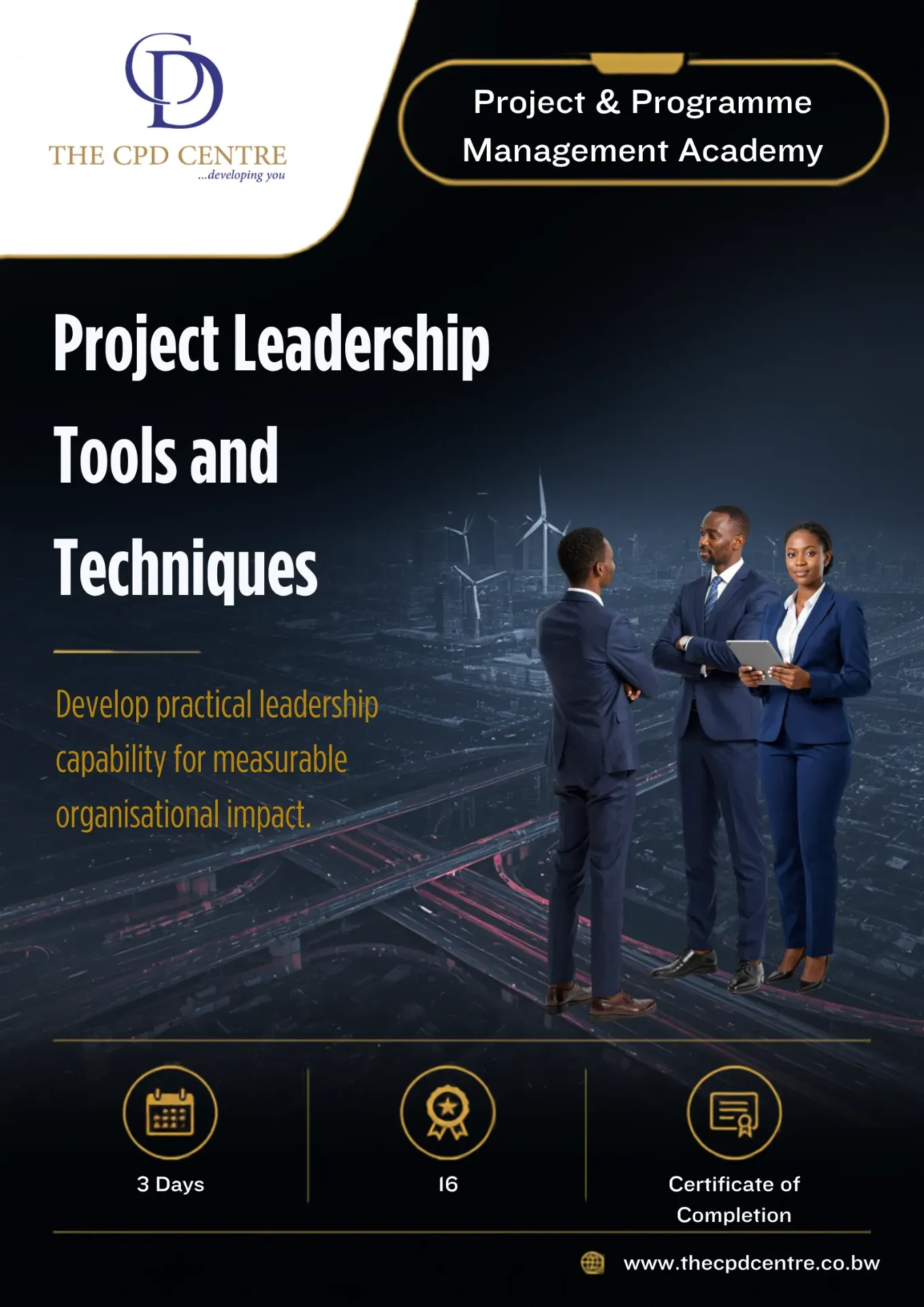 [PPM-PL-012] Project Leadership Tools and Techniques