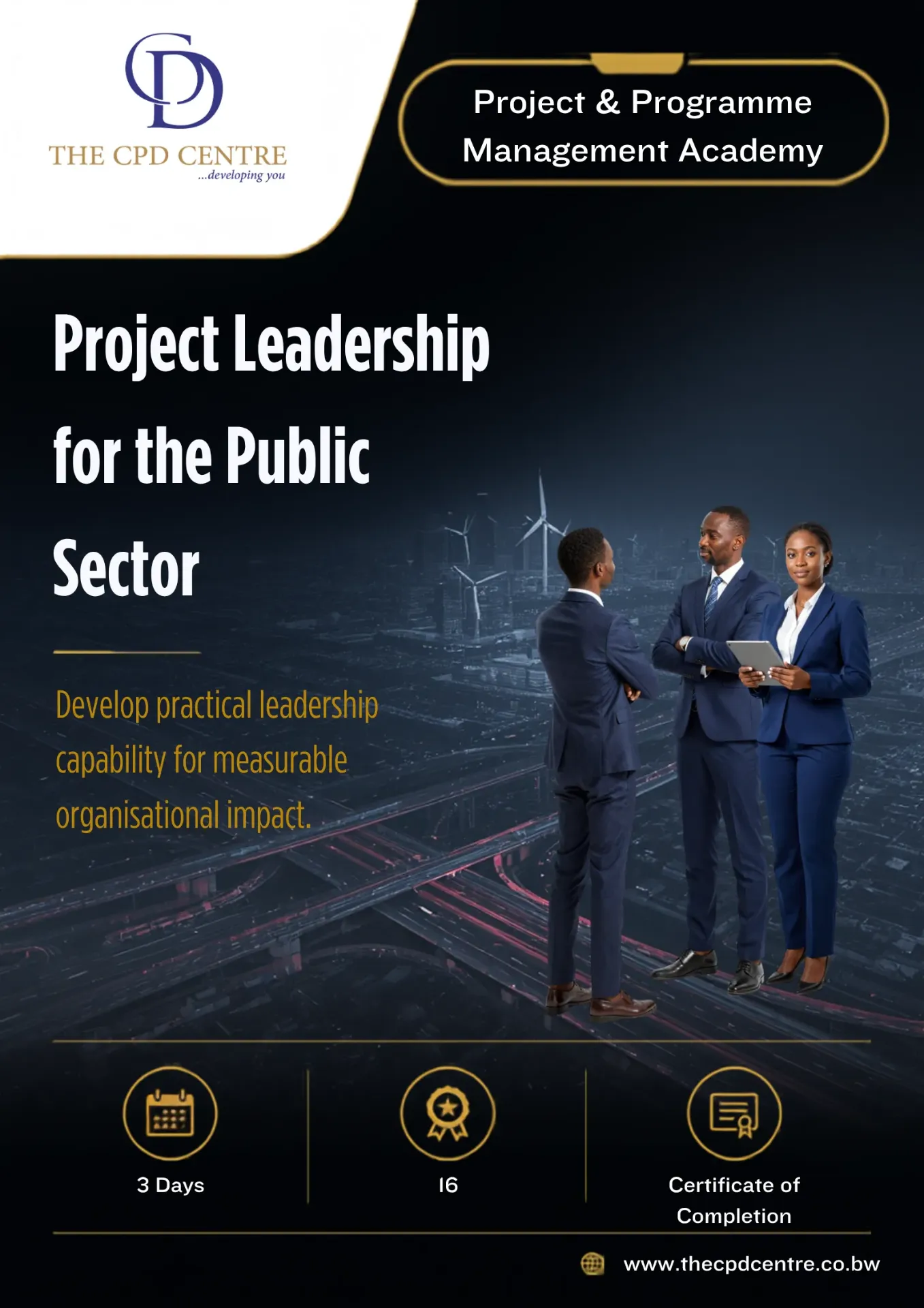 Project Leadership for the Public Sector