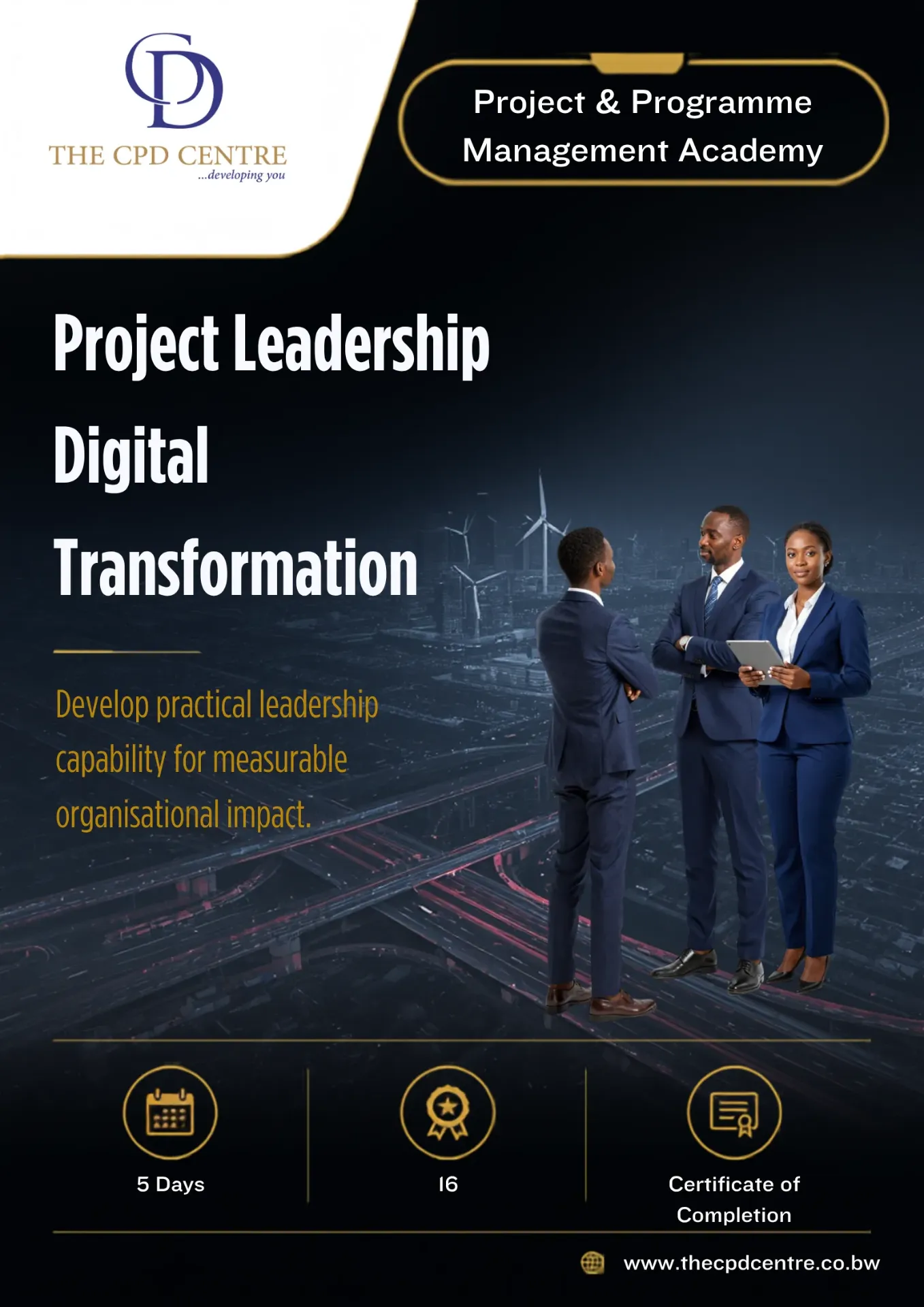 Project Leadership Digital Transformation