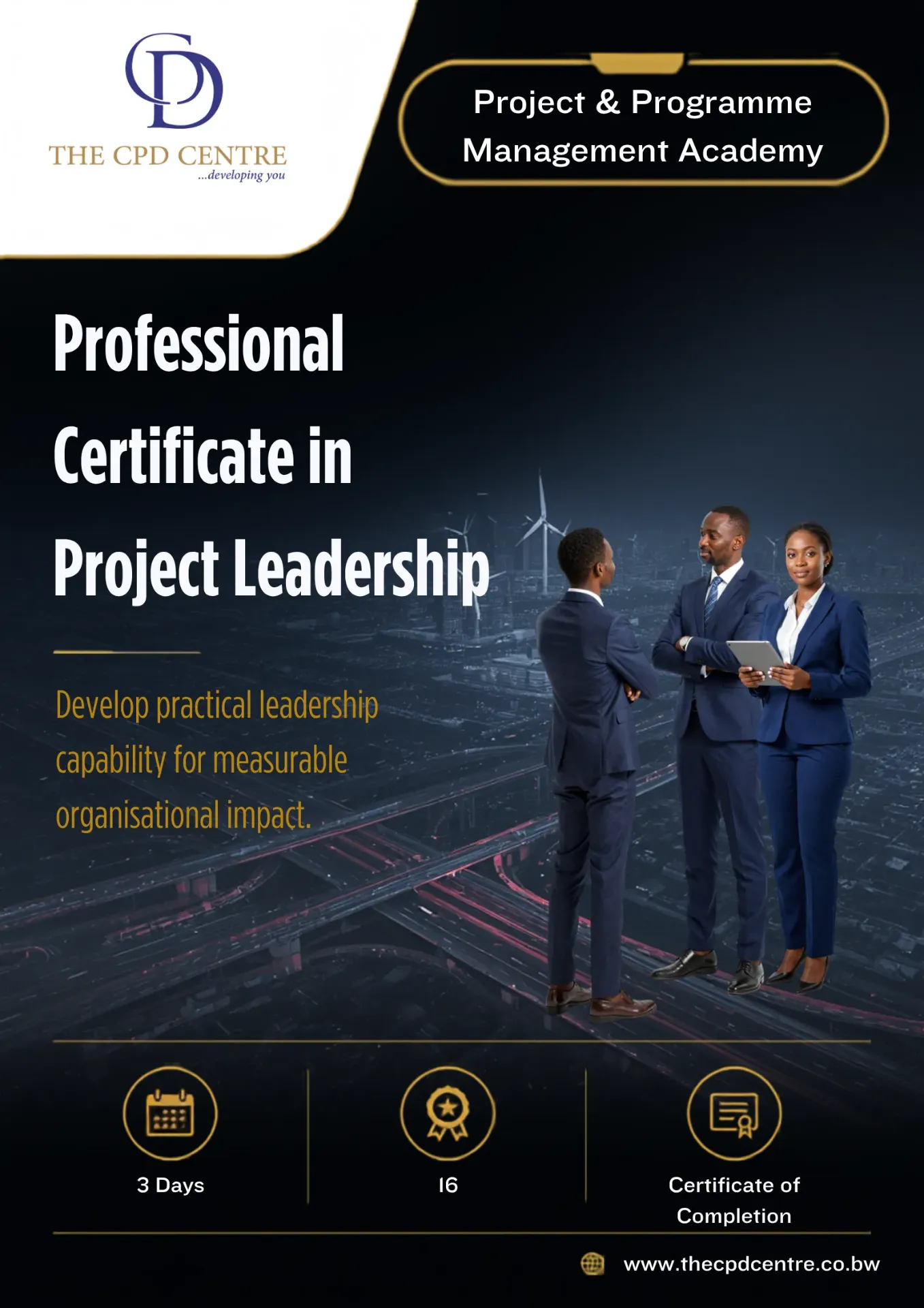Professional Certificate in Project Leadership