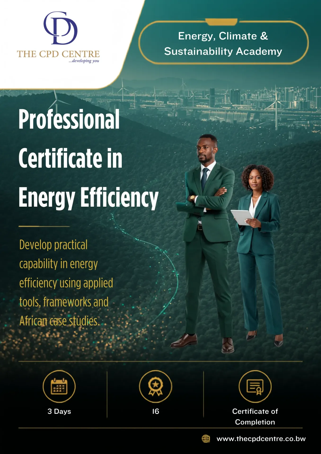[ECS-EE-020] Professional Certificate in Energy Efficiency