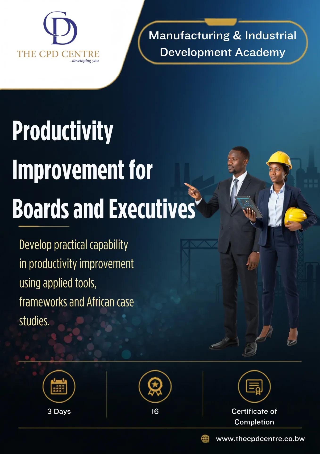 [MID-PI-015] Productivity Improvement for Boards and Executives